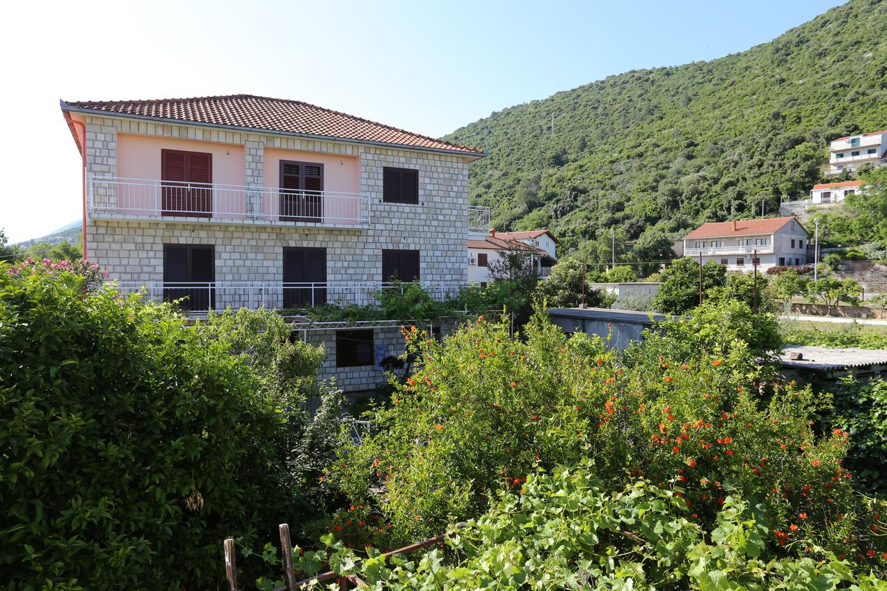 Apartmán v meste Trpanj - 10131