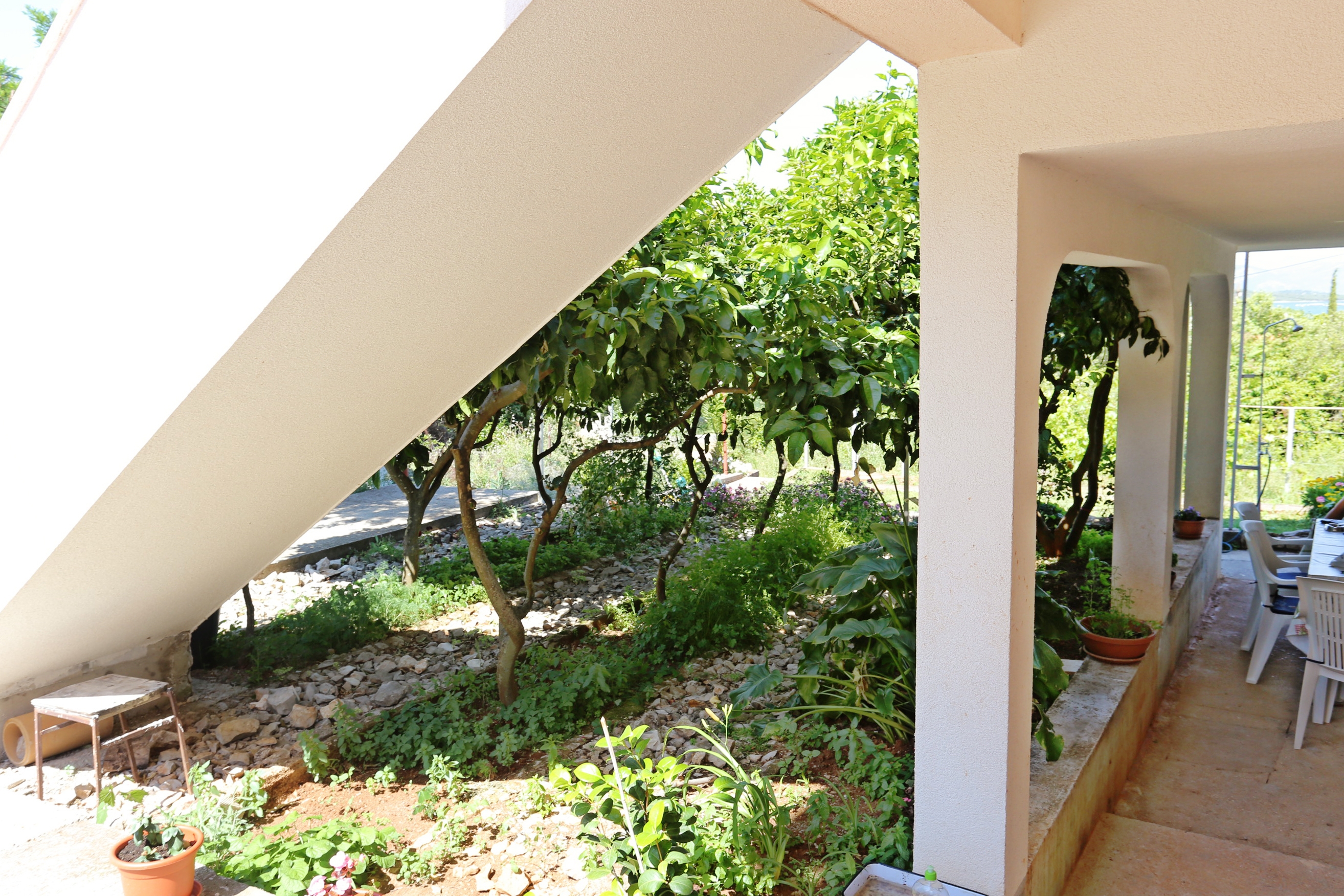 Top Pelješac Drače Top Pelješac Drače