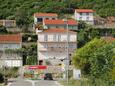 Apartments Trpanj (Pelješac) - 10180