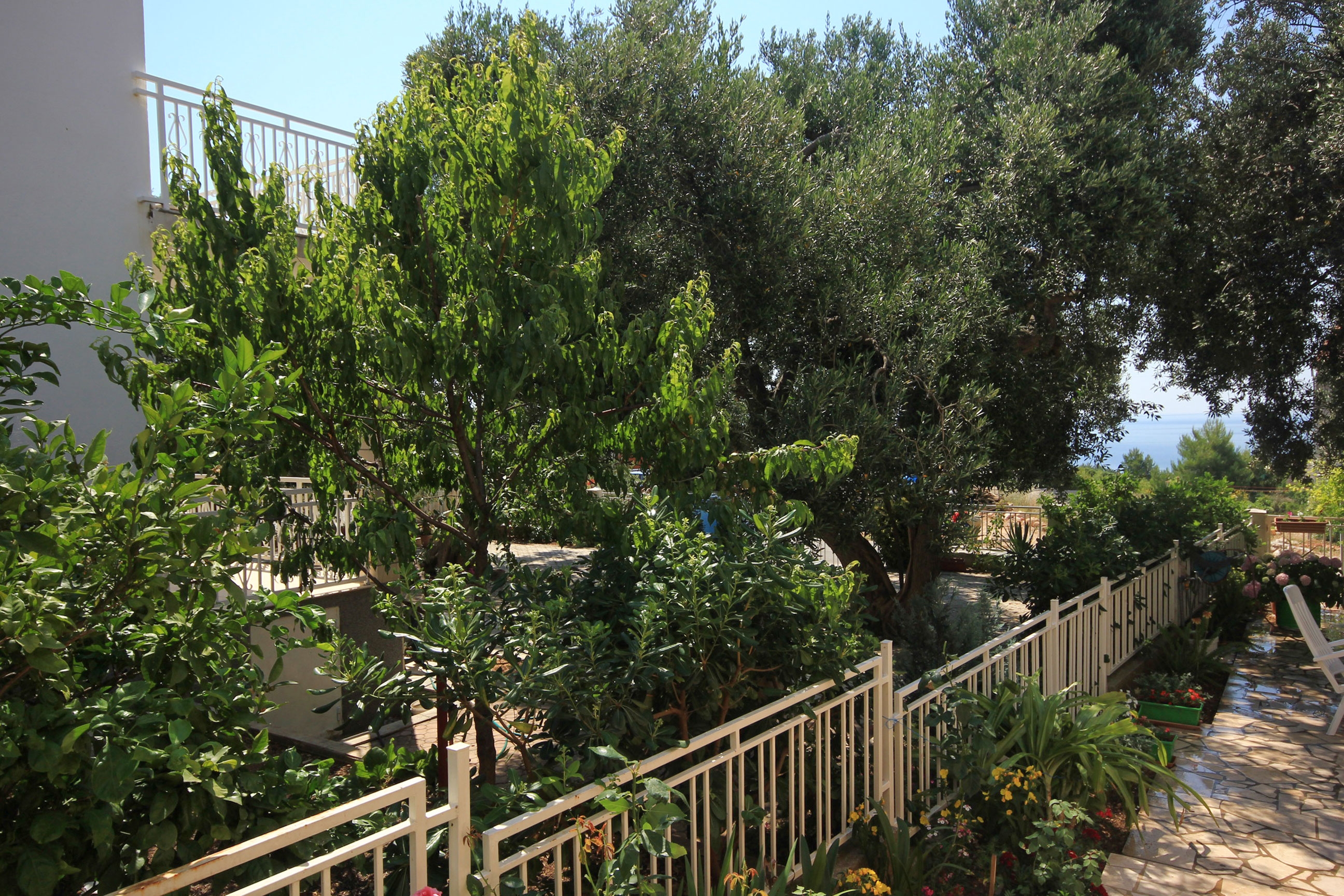 Studio flat with terrace Orebić, Pelješac  AS-b