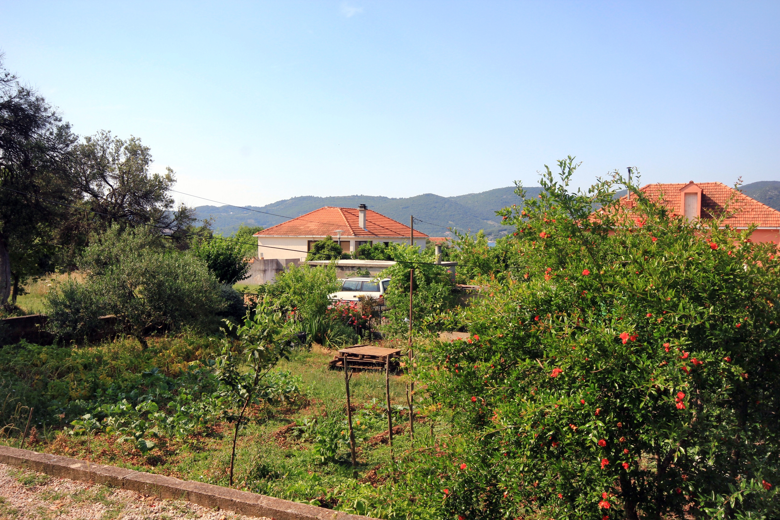 One bedroom apartment with terrace Viganj, Pelješac  A-d