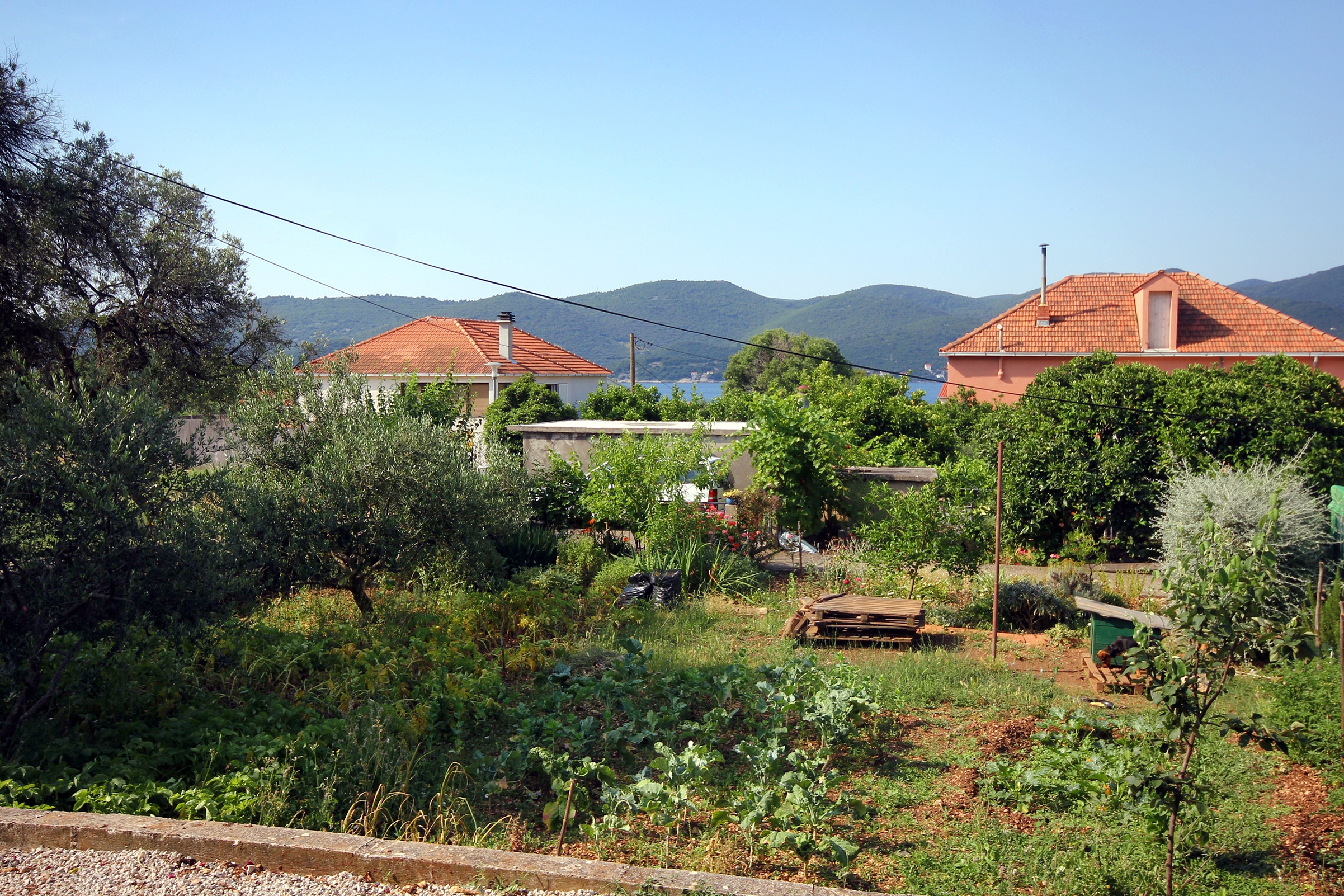 Top Pelješac Viganj Top Pelješac Viganj