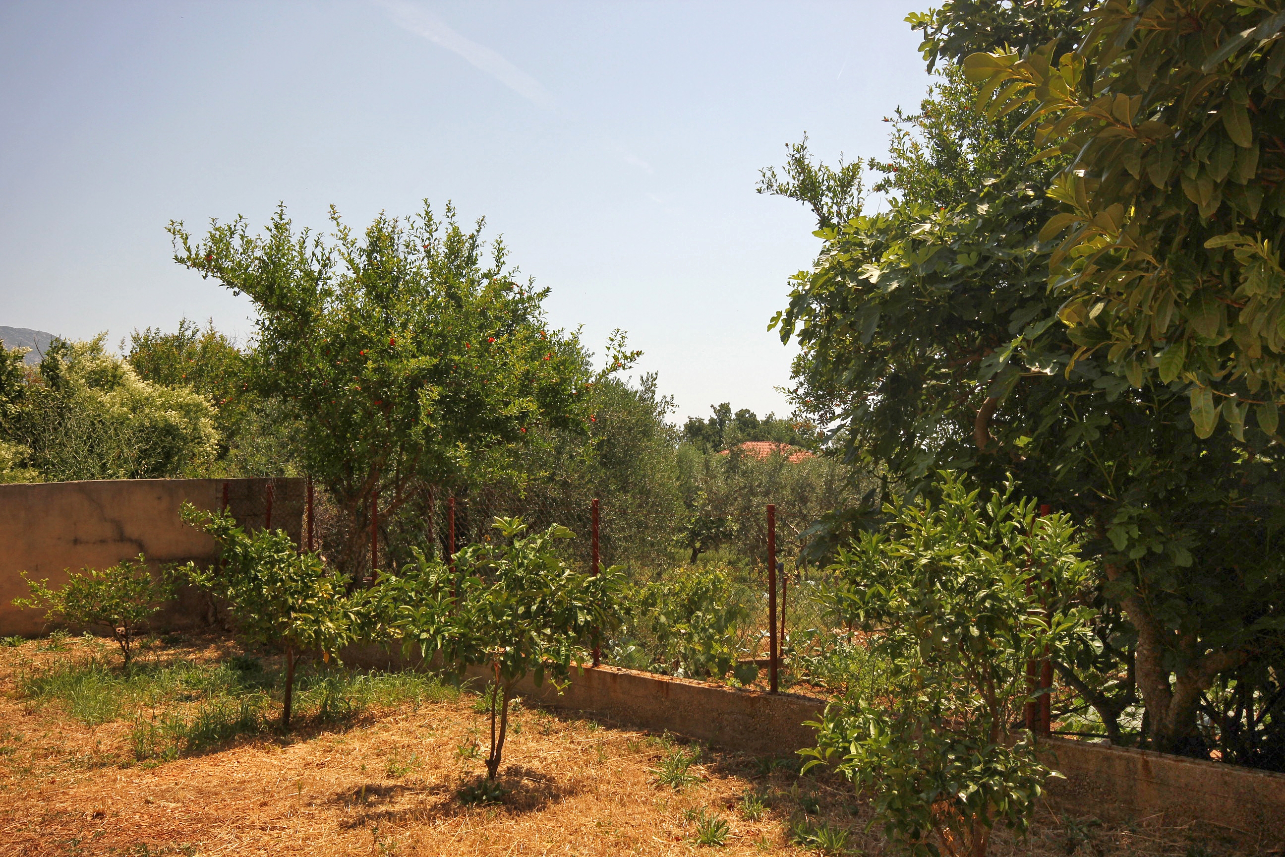 Two bedroom apartment with terrace Orebić, Pelješac  A-a