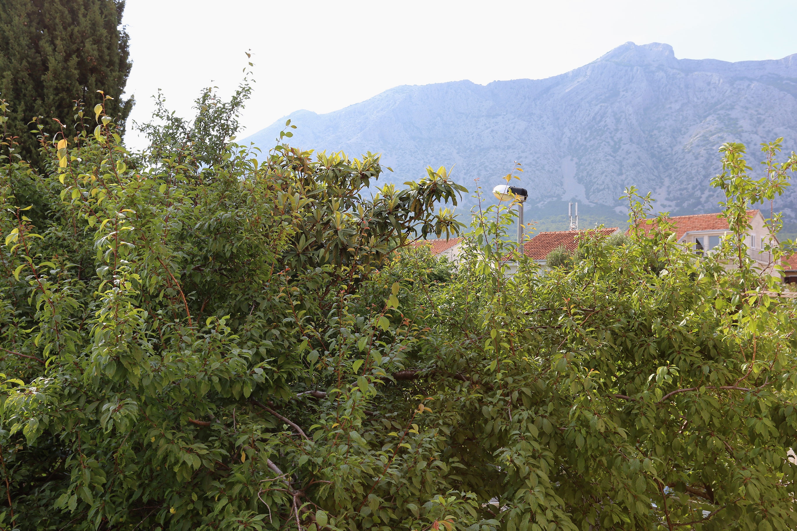 Three bedroom apartment with terrace Orebić, Pelješac  A-a