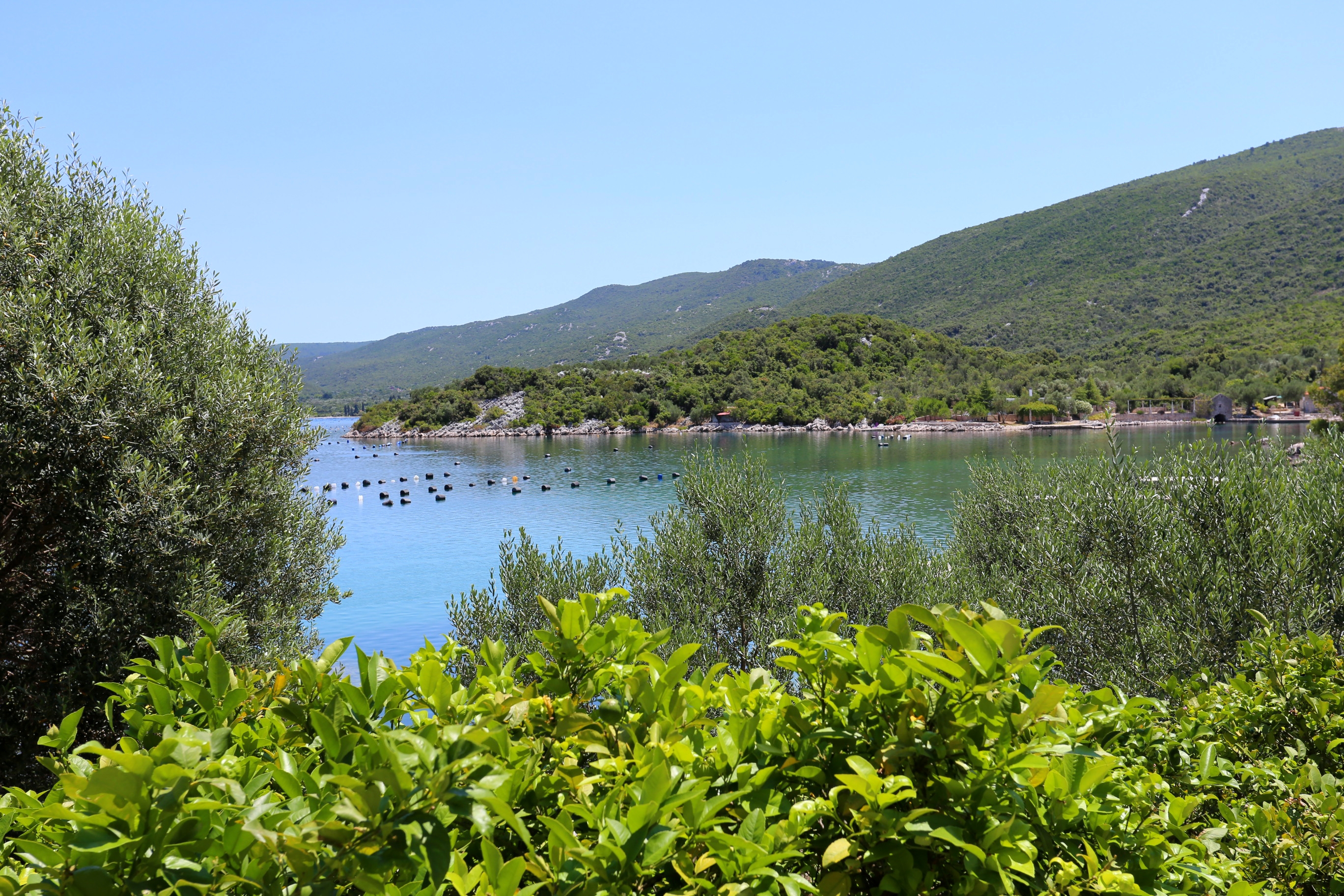 Two bedroom apartment near beach Kabli, Pelješac  A-a