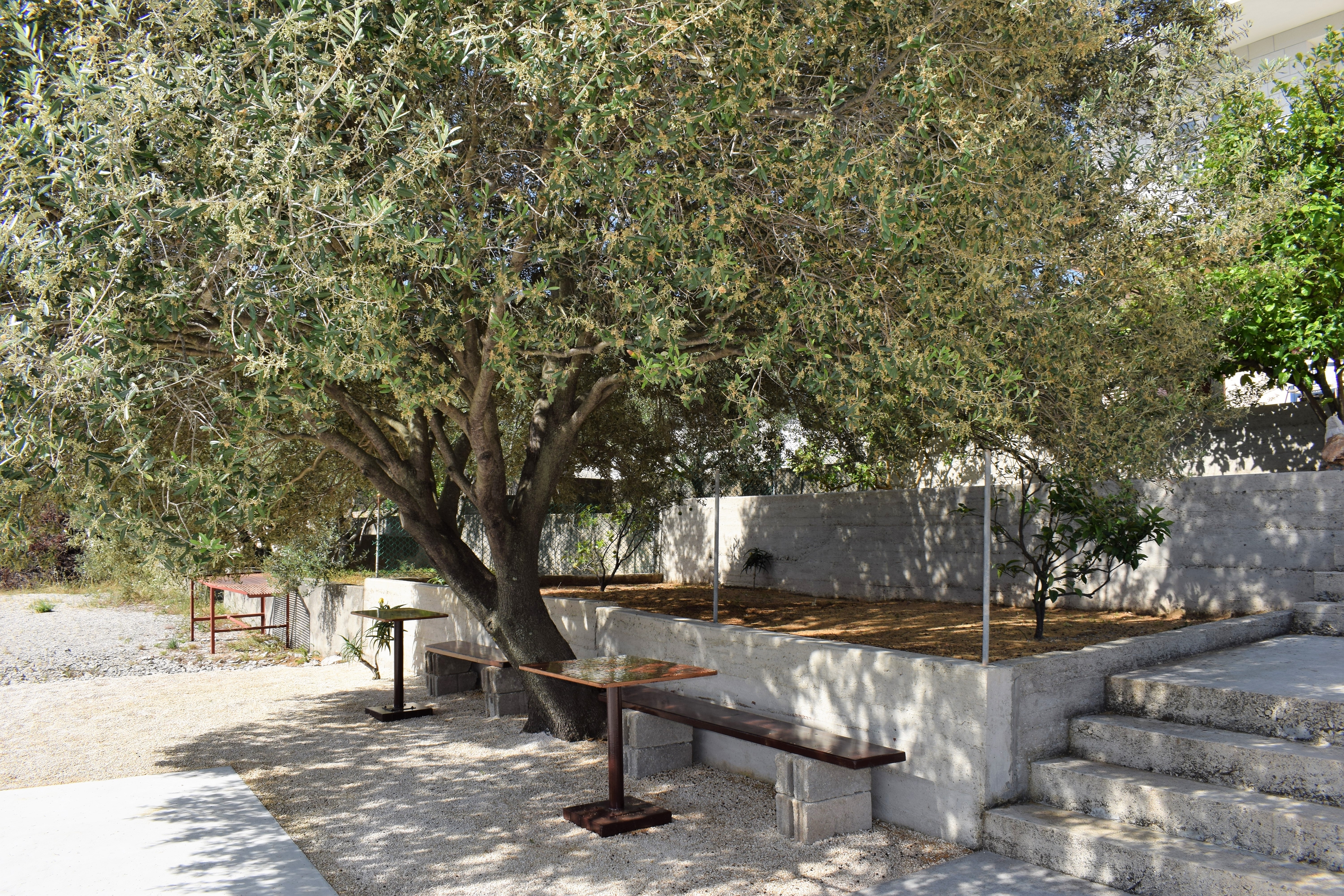 Studio flat near beach Kabli, Pelješac (AS-10225-a) Studio flat near beach Kabli, Pelješac (AS-10225-a)