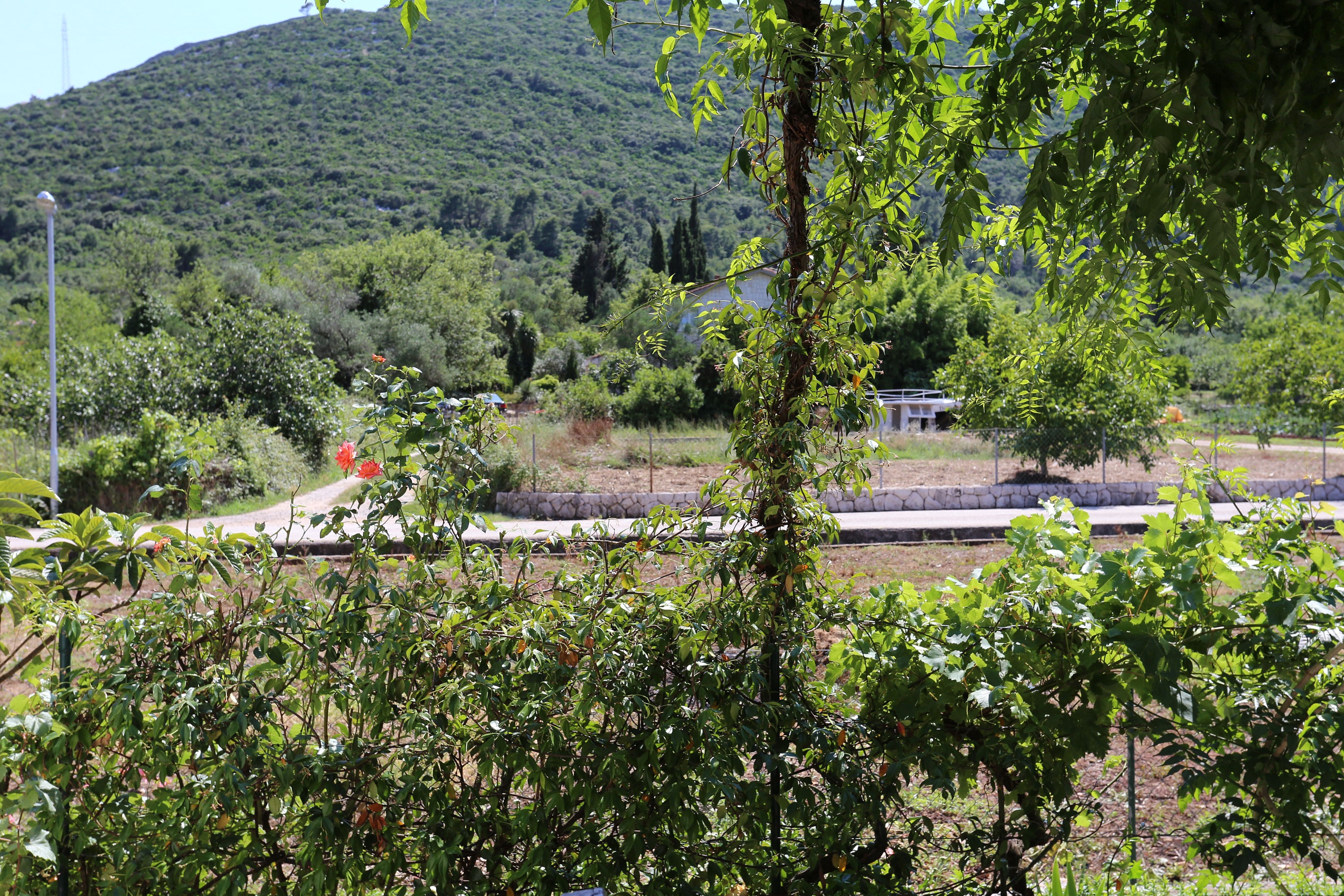 One bedroom apartment with terrace Mali Ston, Pelješac  A-b