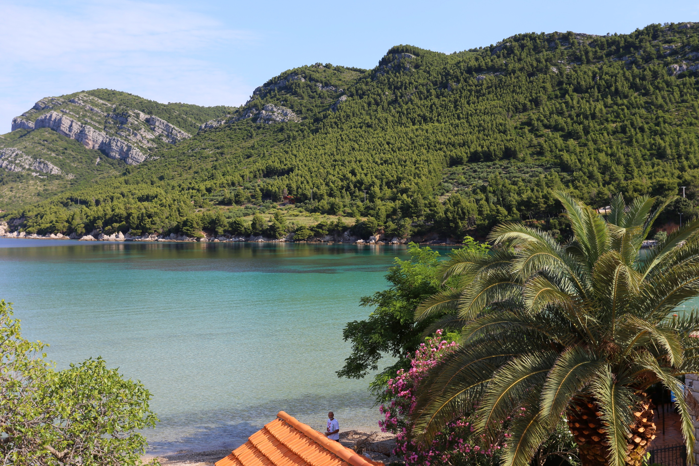 One bedroom apartment near beach Žuljana, Pelješac  A-a