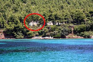 Appartements près de la mer Zuljana, Peljesac - 10233