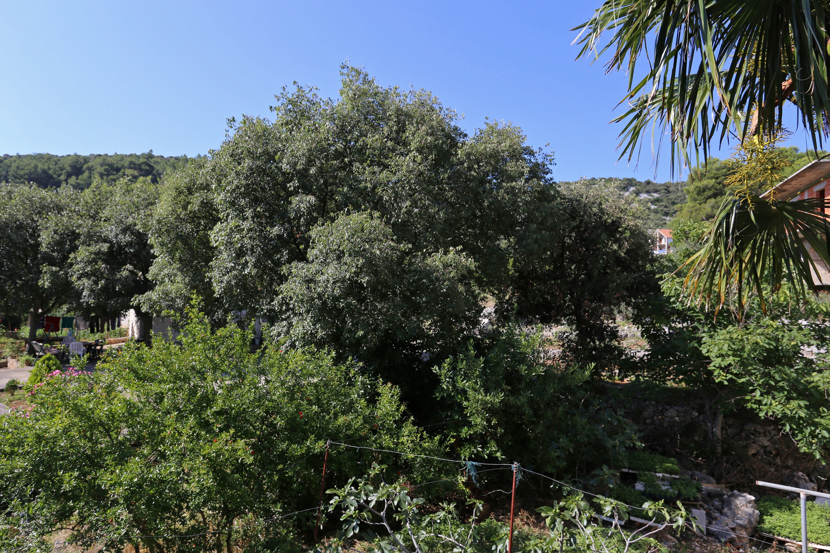 Dvosobni apartman s terasom i pogledom na more Marina, Trogir  A-a