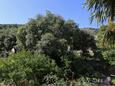 Marina, Terraza - vistas in the apartment, WiFi.