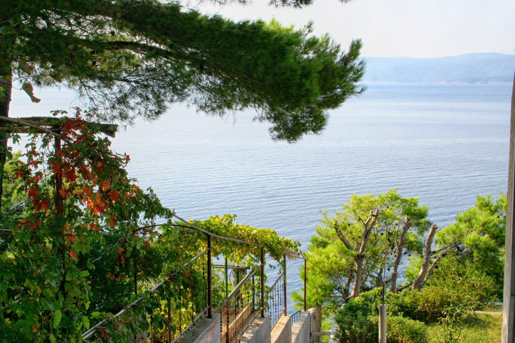 Studio flat with terrace and sea view Marušići, Omiš (AS-1024-d)