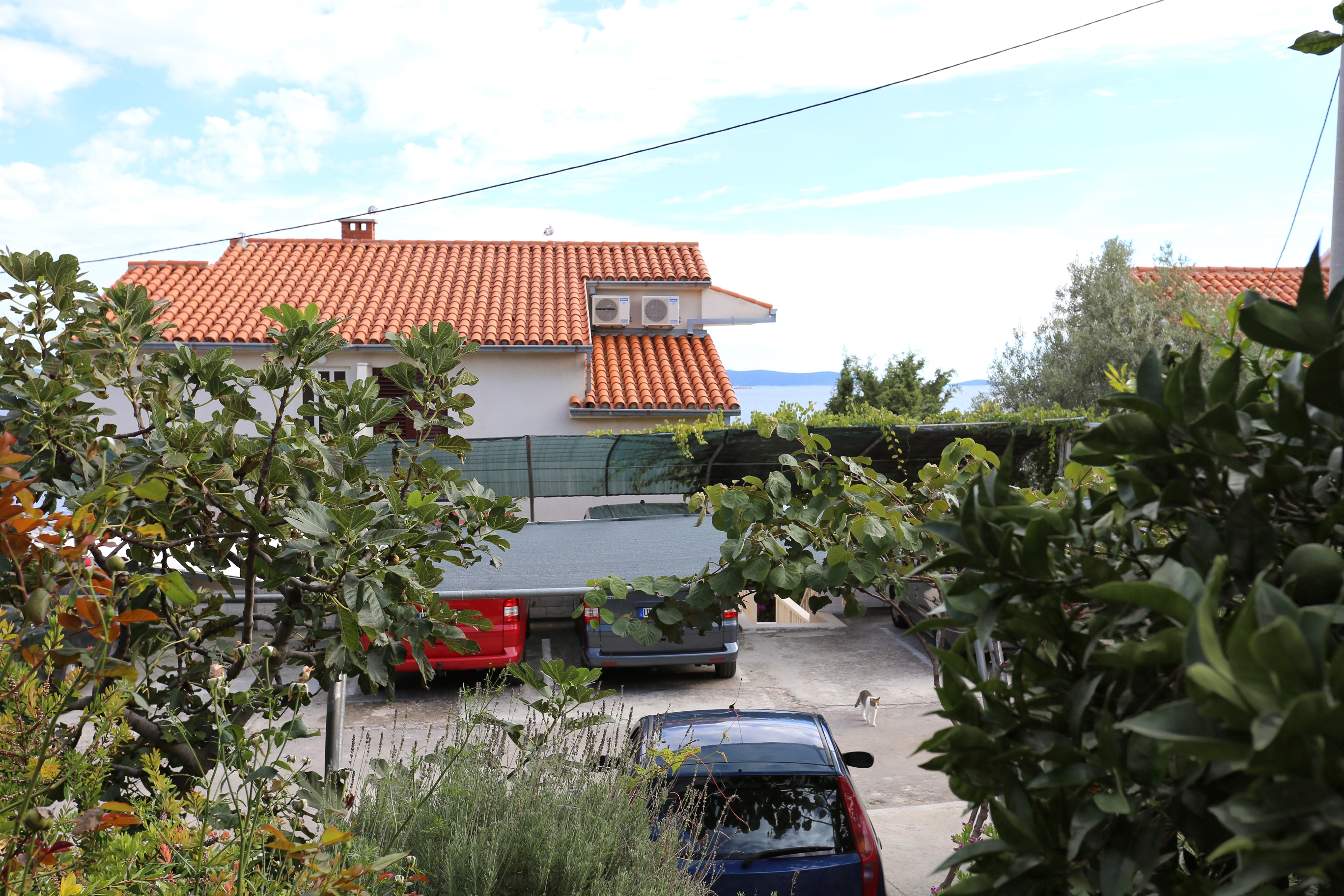 Top Trogir Seget Vranjica Top Trogir Seget Vranjica