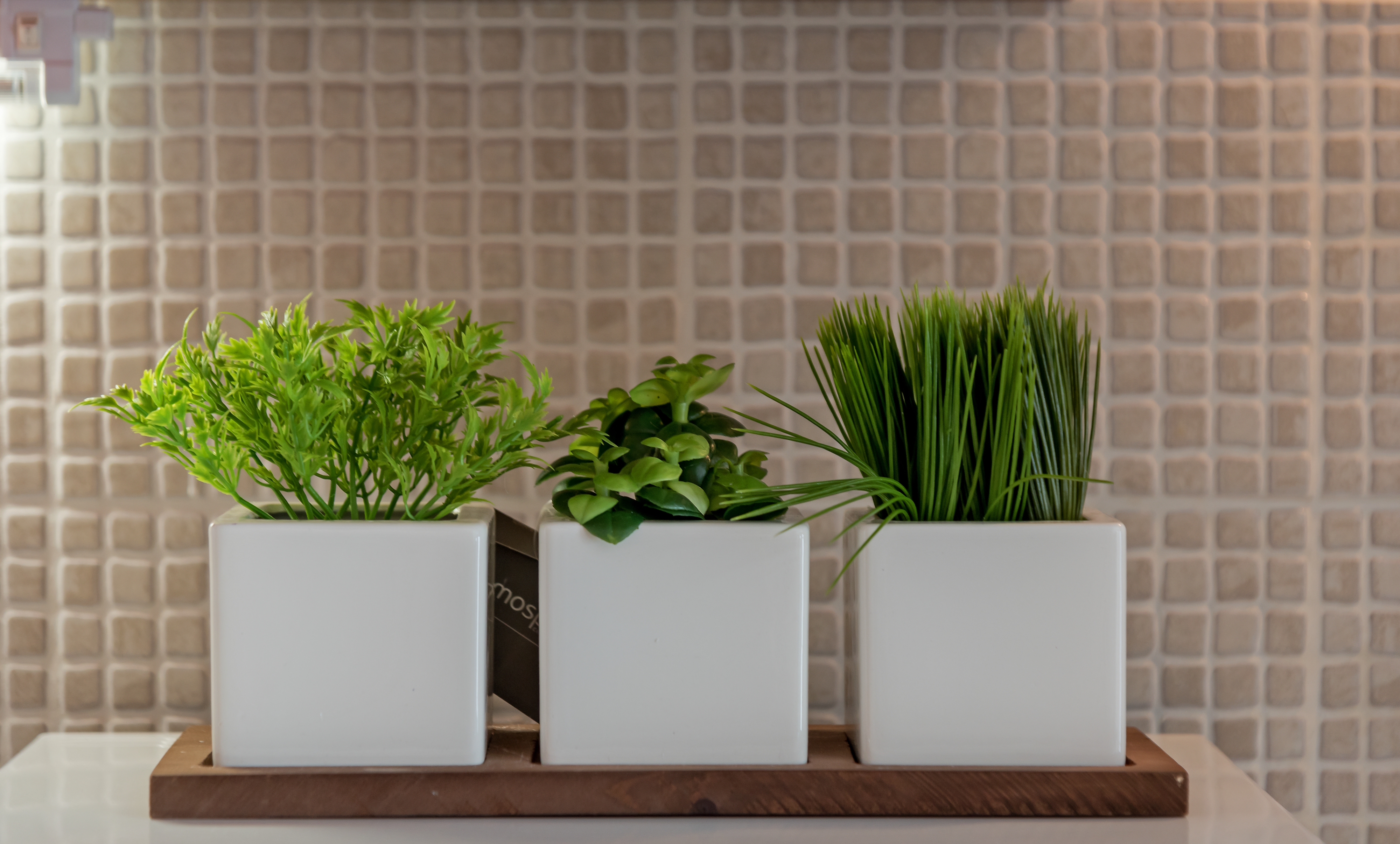 Top Rogoznica Top Rogoznica