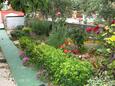 Courtyard Vir, Vir, Courtyard 10407 - Apartments in Croatia.