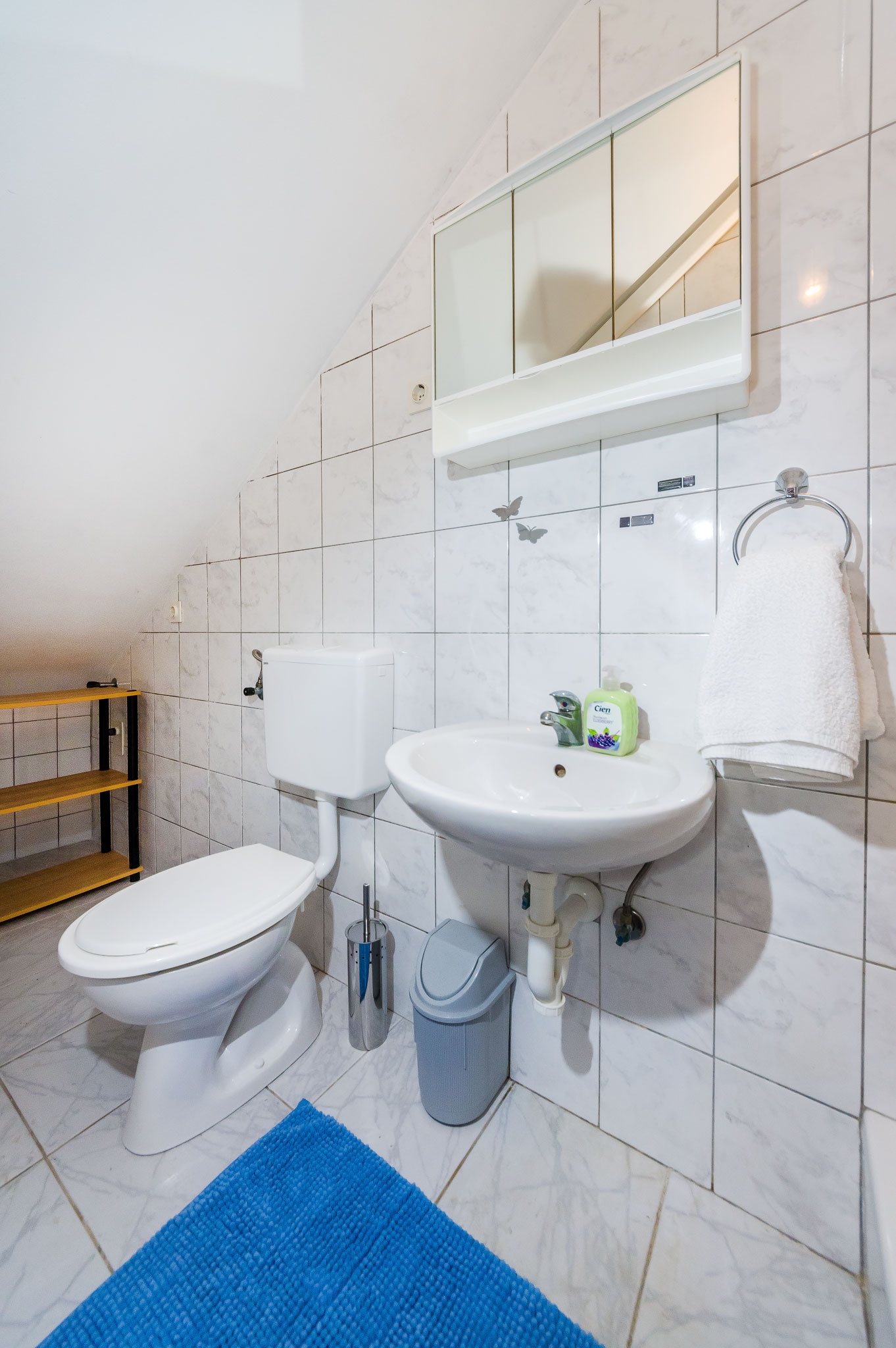 Three bedroom apartment with terrace Nin, Zadar  A-a