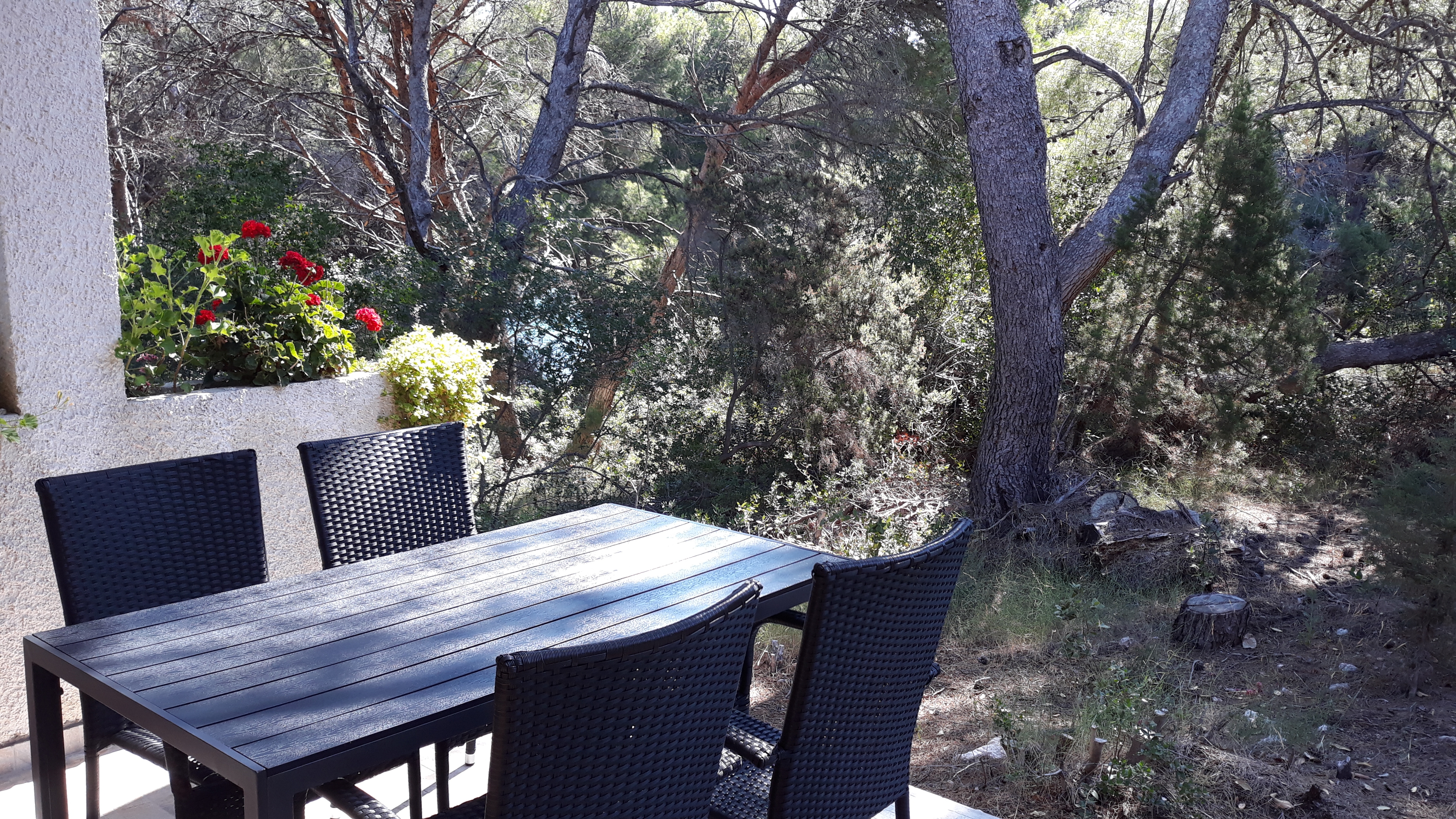 One bedroom apartment with terrace Cove Blaca, Mljet  A-a