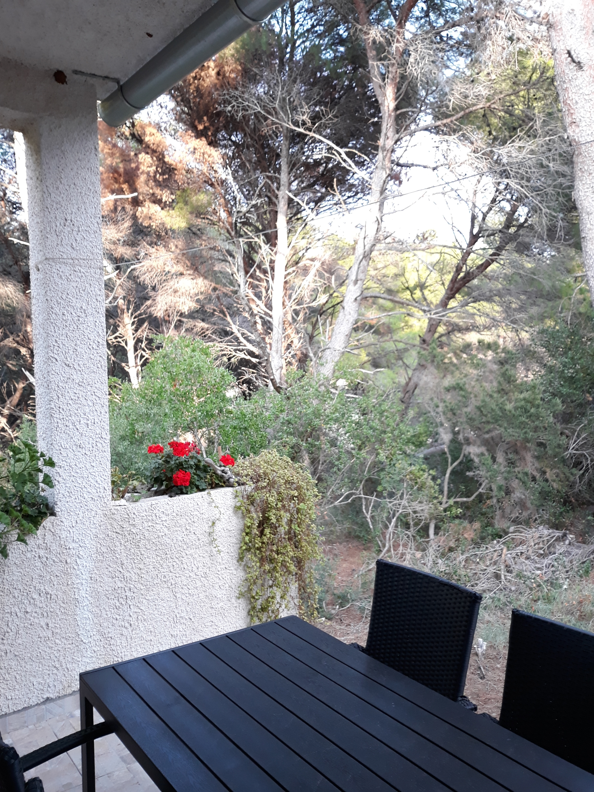 One bedroom apartment with terrace Cove Blaca, Mljet  A-a