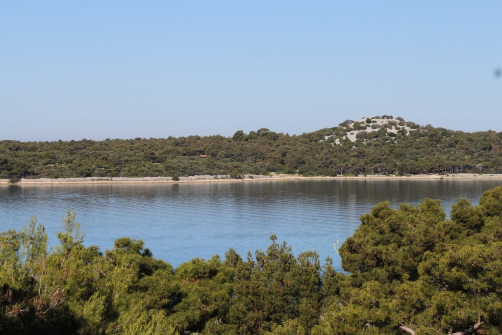 One bedroom apartment with terrace and sea view Mali Lošinj, Lošinj  A-a