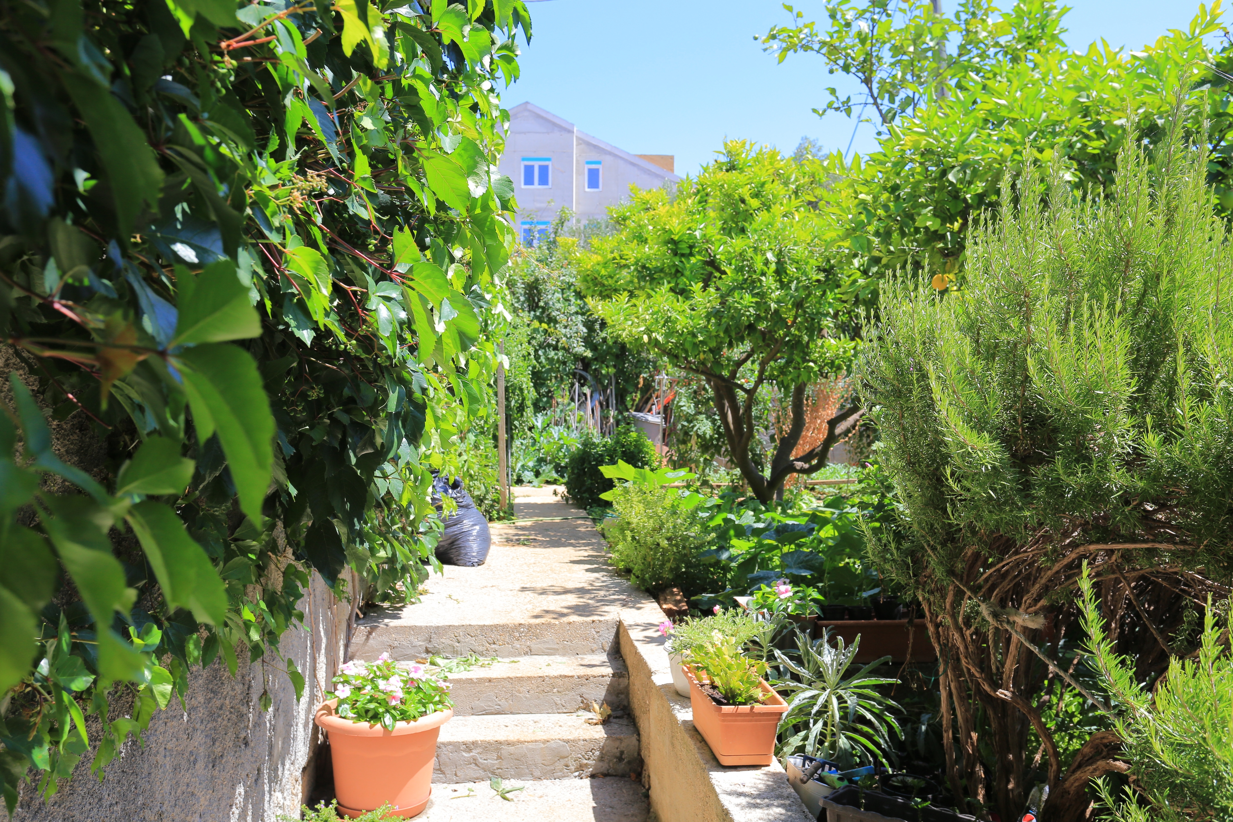 Studio flat with terrace Živogošće - Blato, Makarska (AS-1057-a)