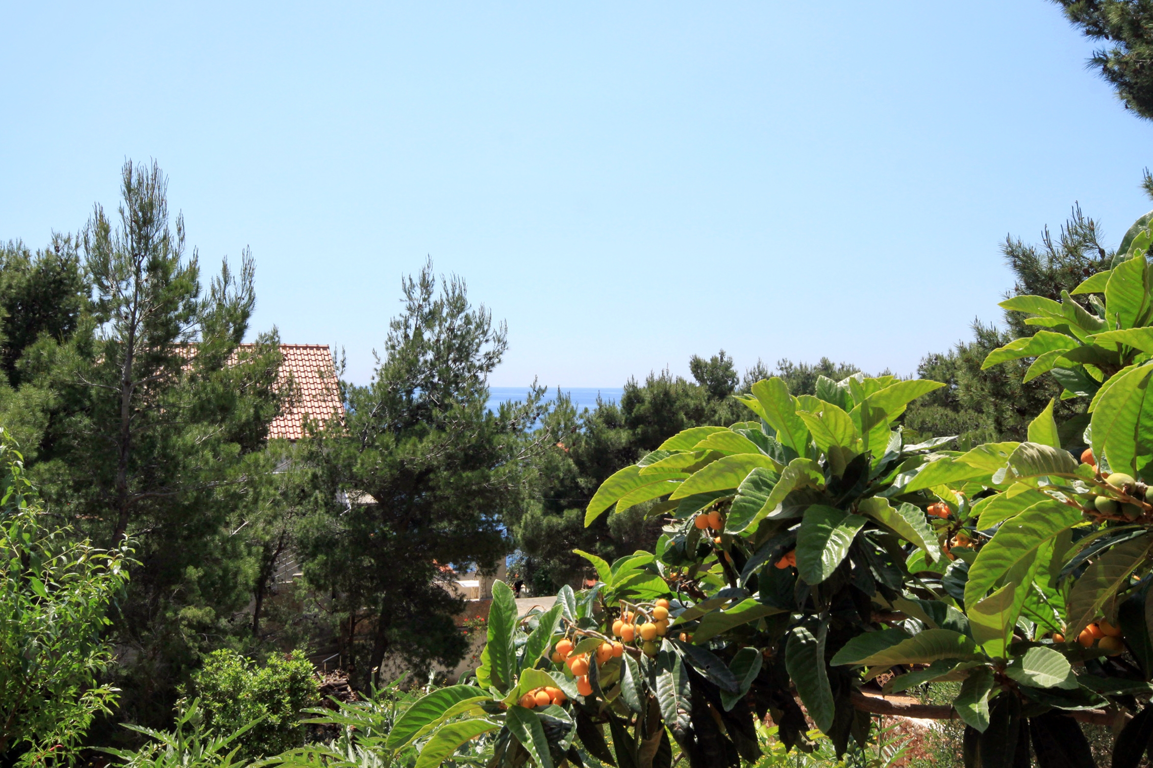 Studio flat with terrace and sea view Sveta Nedilja, Hvar  AS-a