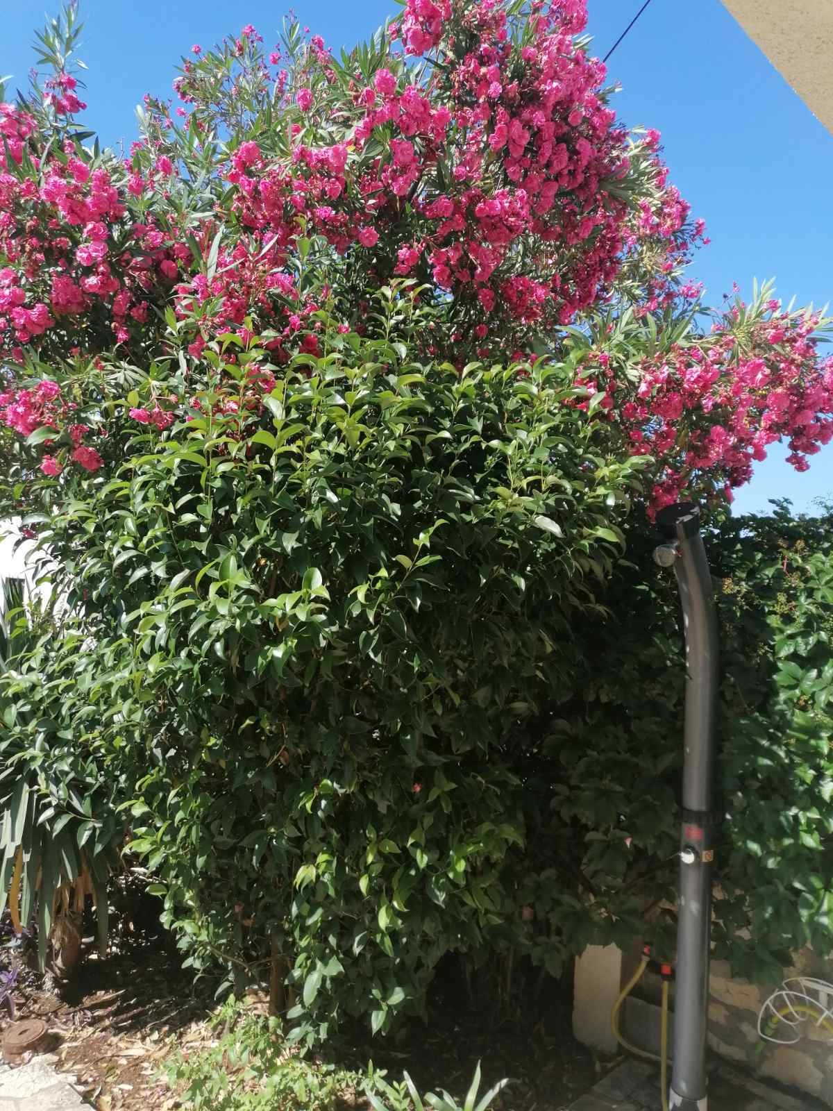 Dvosobni apartman uz plažu Rogoznica  A-b