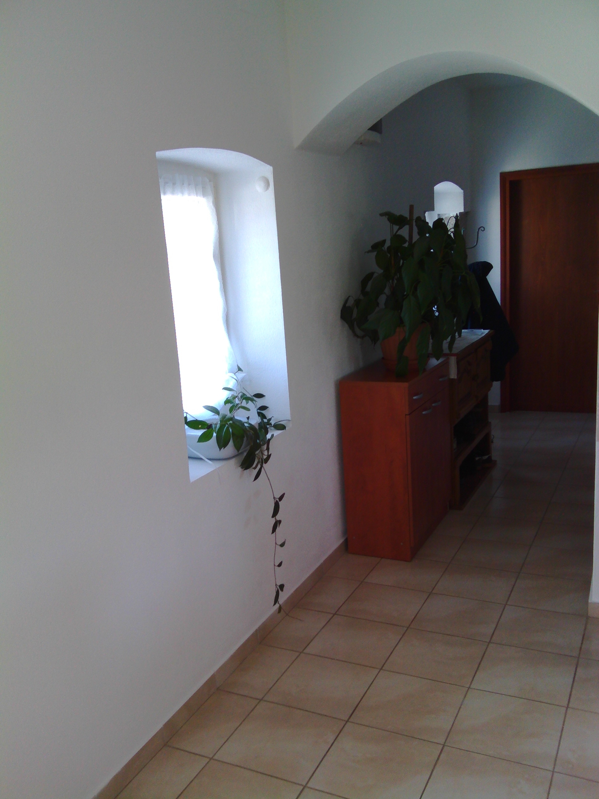 Top Ugljan Lukoran Top Ugljan Lukoran