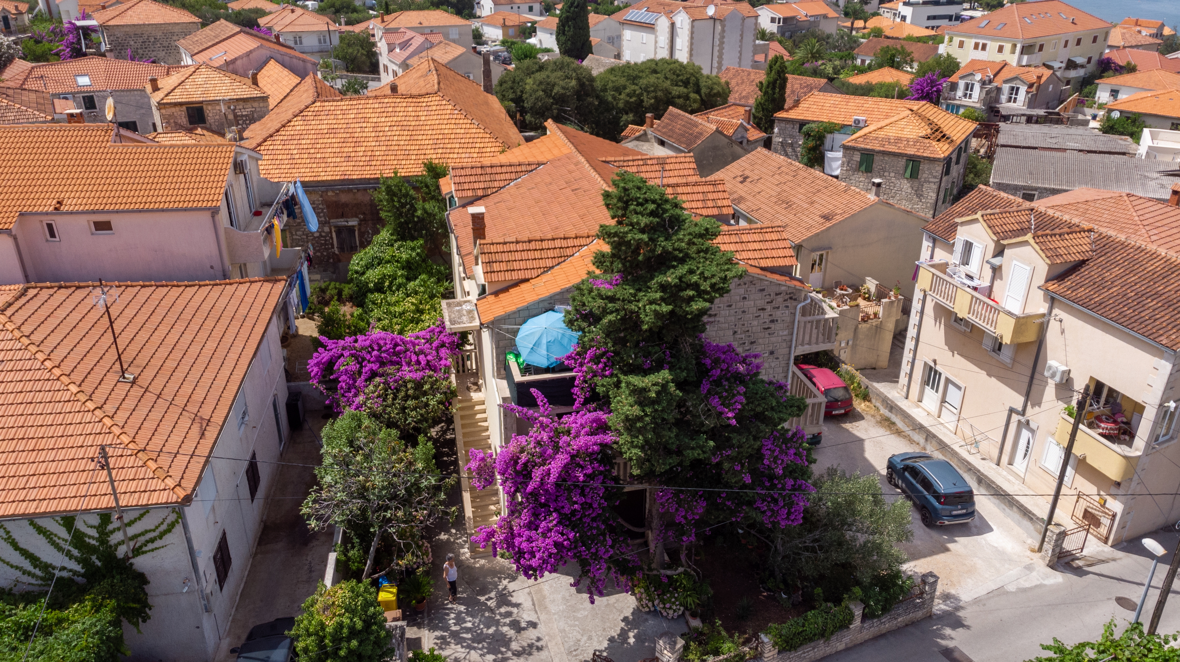 Top Brač Supetar Top Brač Supetar