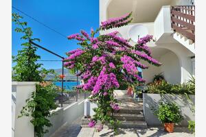 Appartements près de la mer Arbanija, Ciovo - 11321