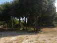 Parking lot Mandre, Pag, Parking lot 11365 - Apartments with pebble beach.