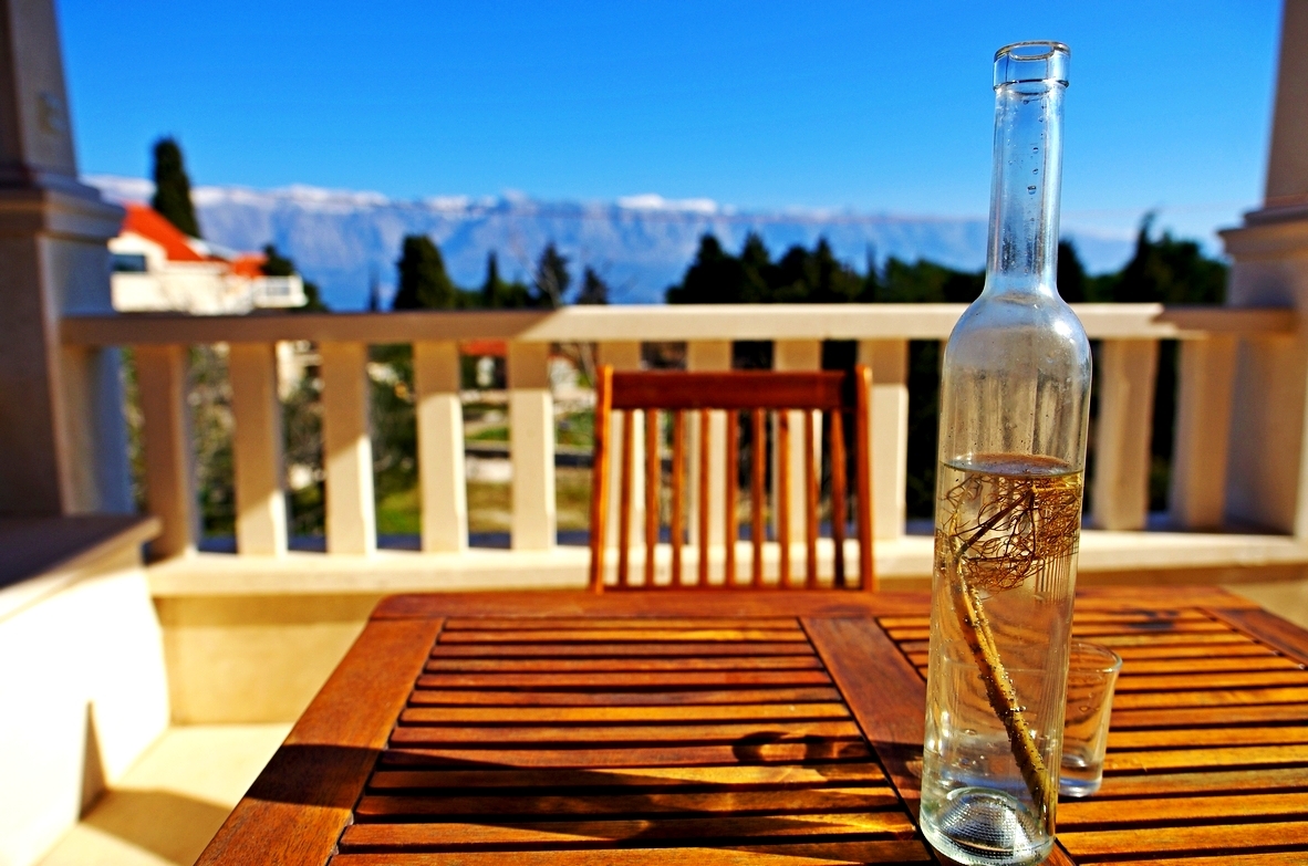 Four bedroom apartment with terrace and sea view Sumartin, Brač  A-a
