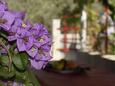 Tudorovica, Terrasse - vue dans l’hébergement en type house, animaux acceptés.