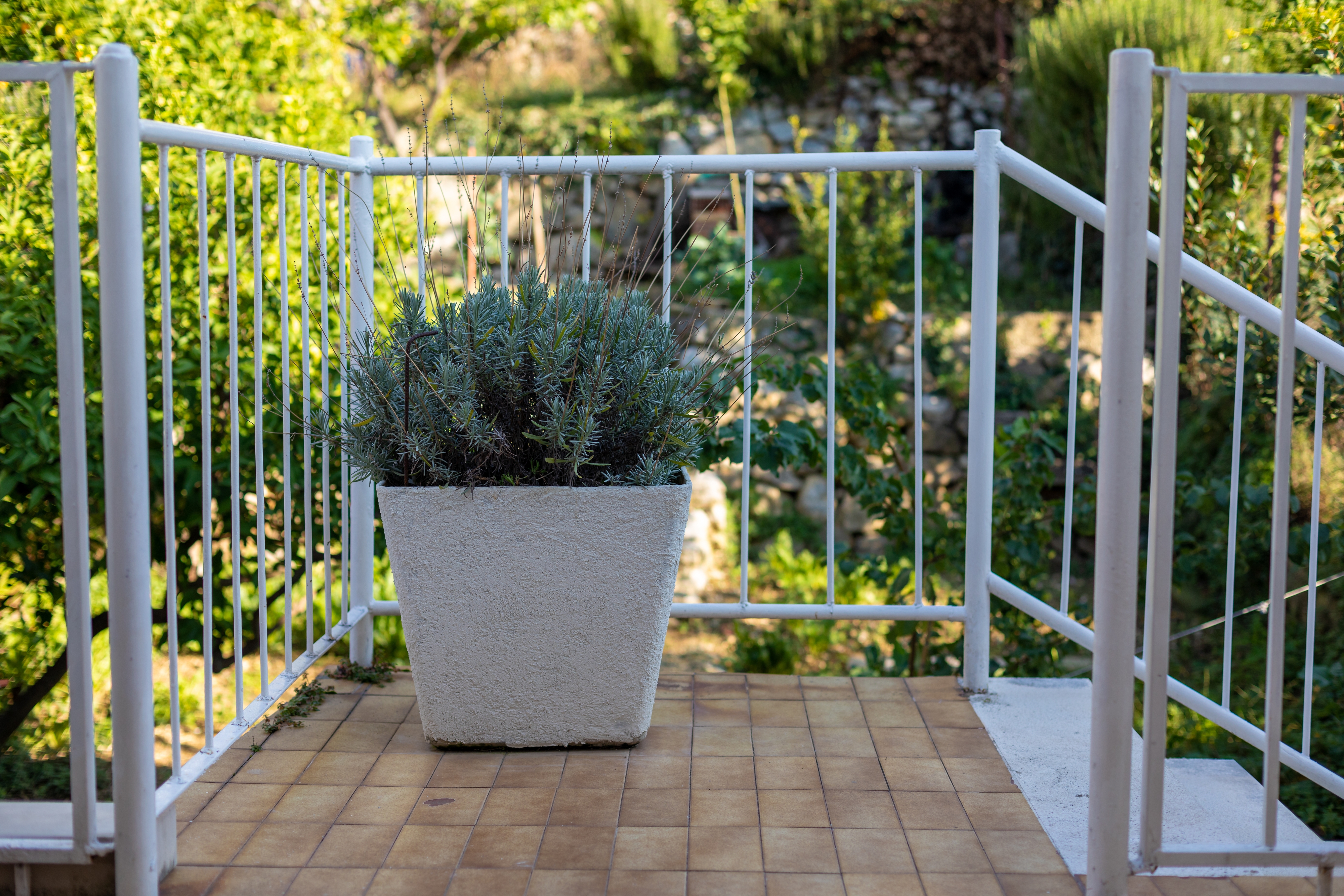 Three bedroom apartment near beach Podgora, Makarska  A-b