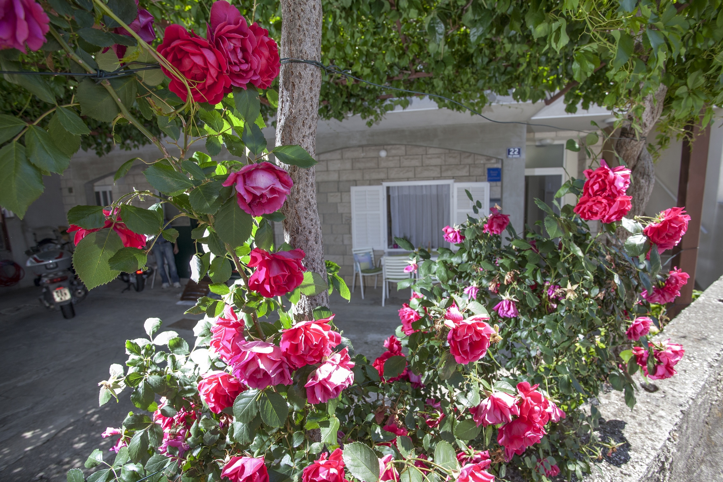 Studio flat with air-conditioning Tučepi, Makarska (AS-11486-a)