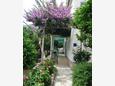 Property Komiža, Vis, Property 1150 - Rooms with pebble beach.