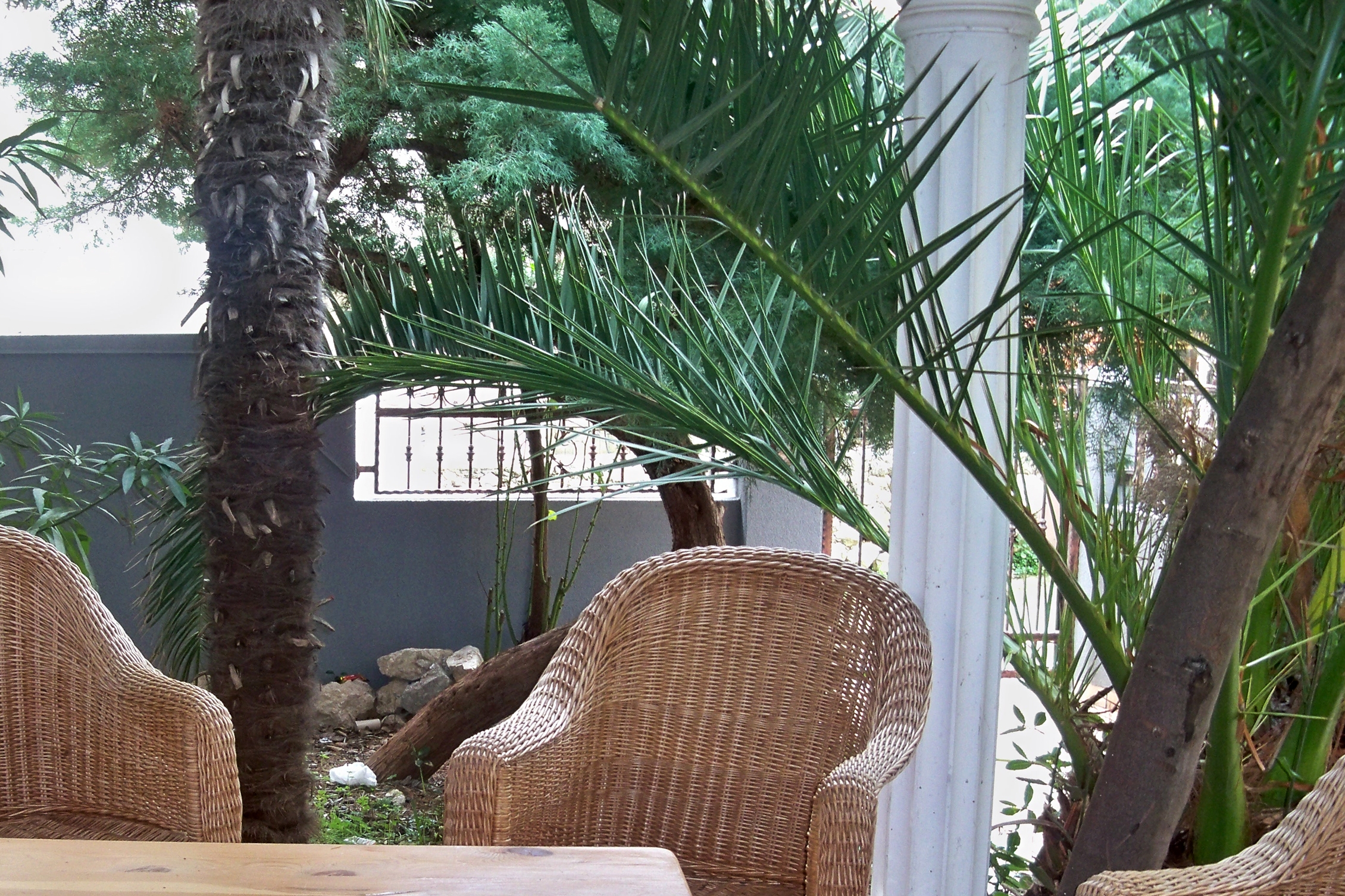 Top Pag Novalja Top Pag Novalja