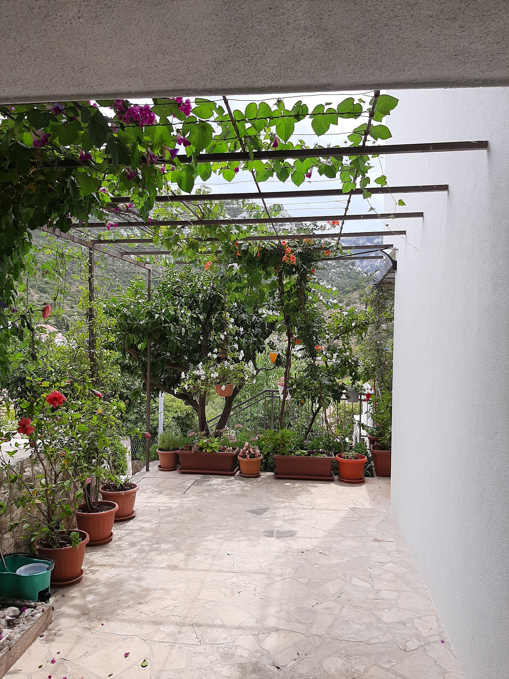 Top Pelješac Trpanj Top Pelješac Trpanj