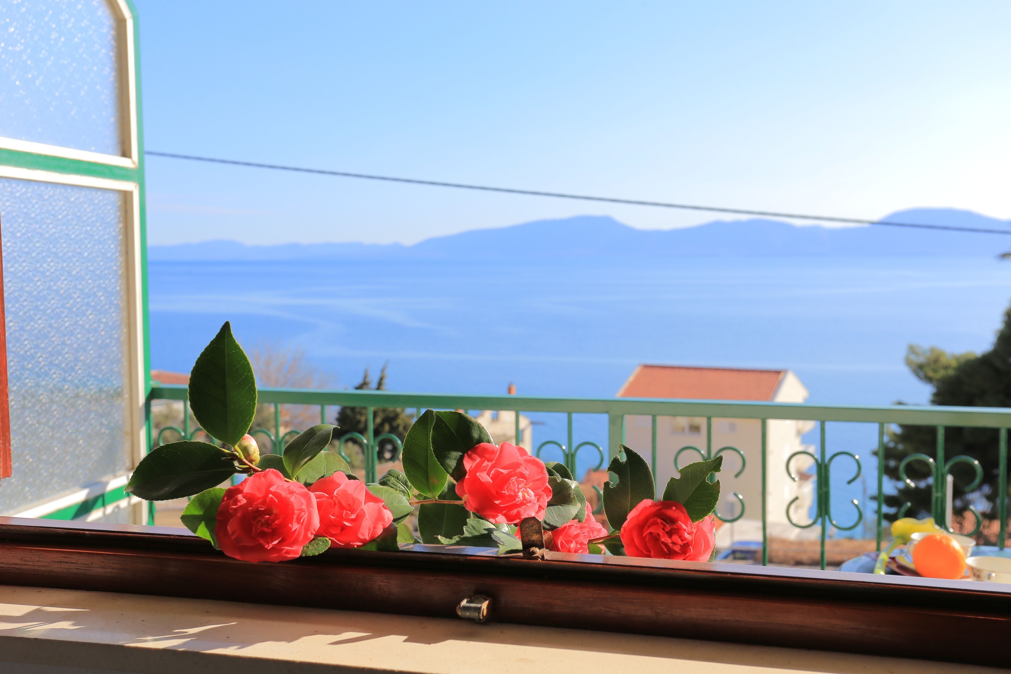 One bedroom apartment with balcony and sea view Podaca, Makarska  A-c