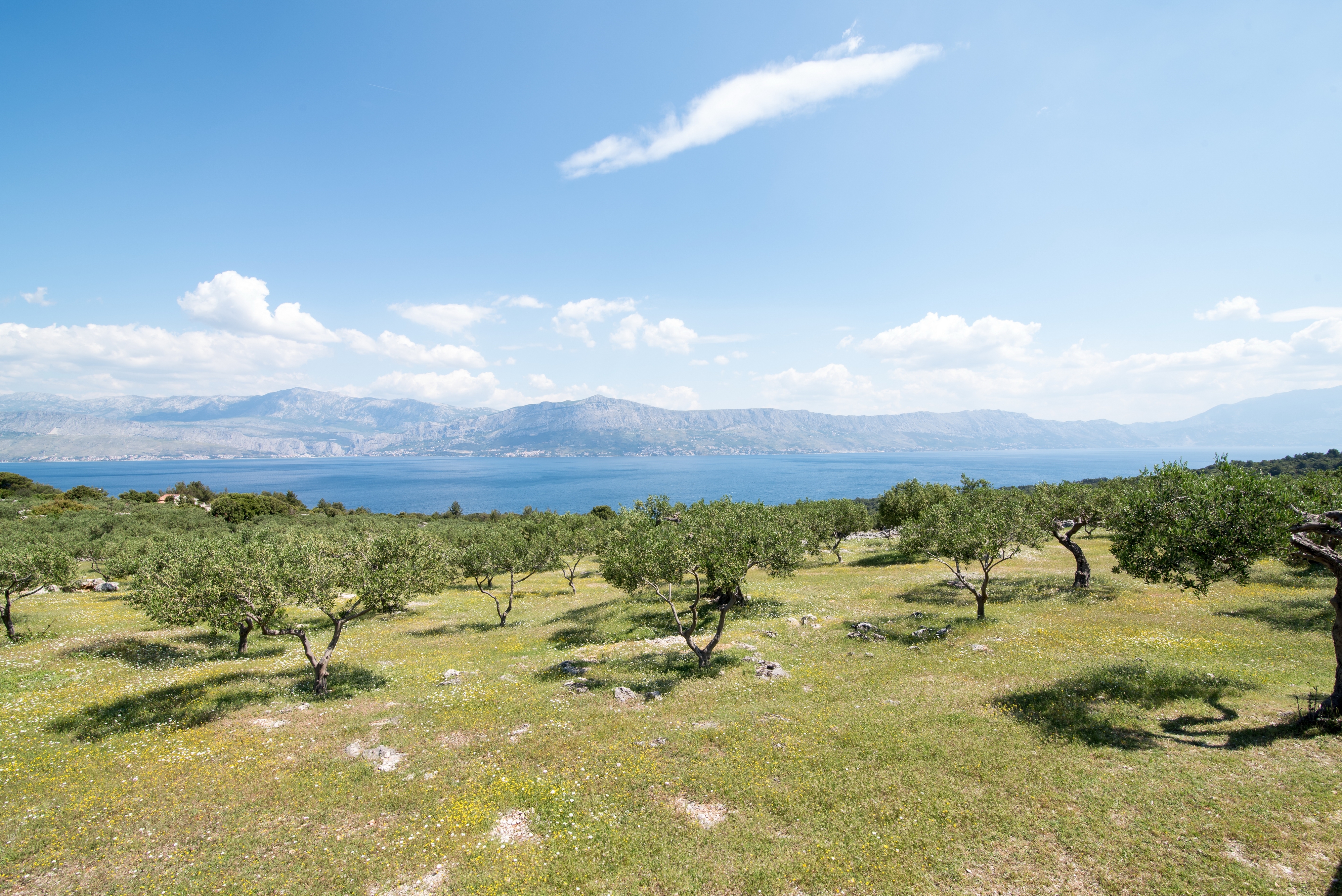 Two bedroom house with terrace and sea view Postira, Brač  K