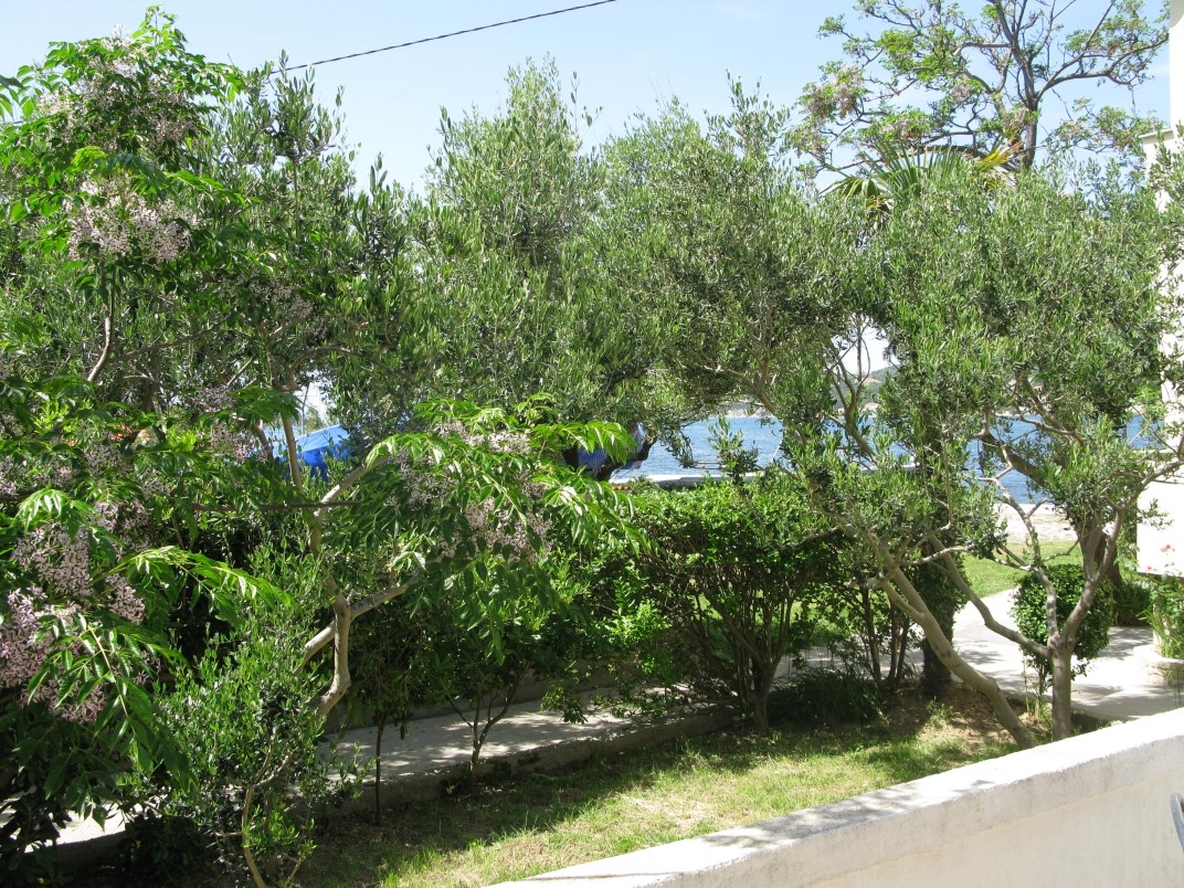 Top Rab Supetarska Draga - Donja Top Rab Supetarska Draga - Donja