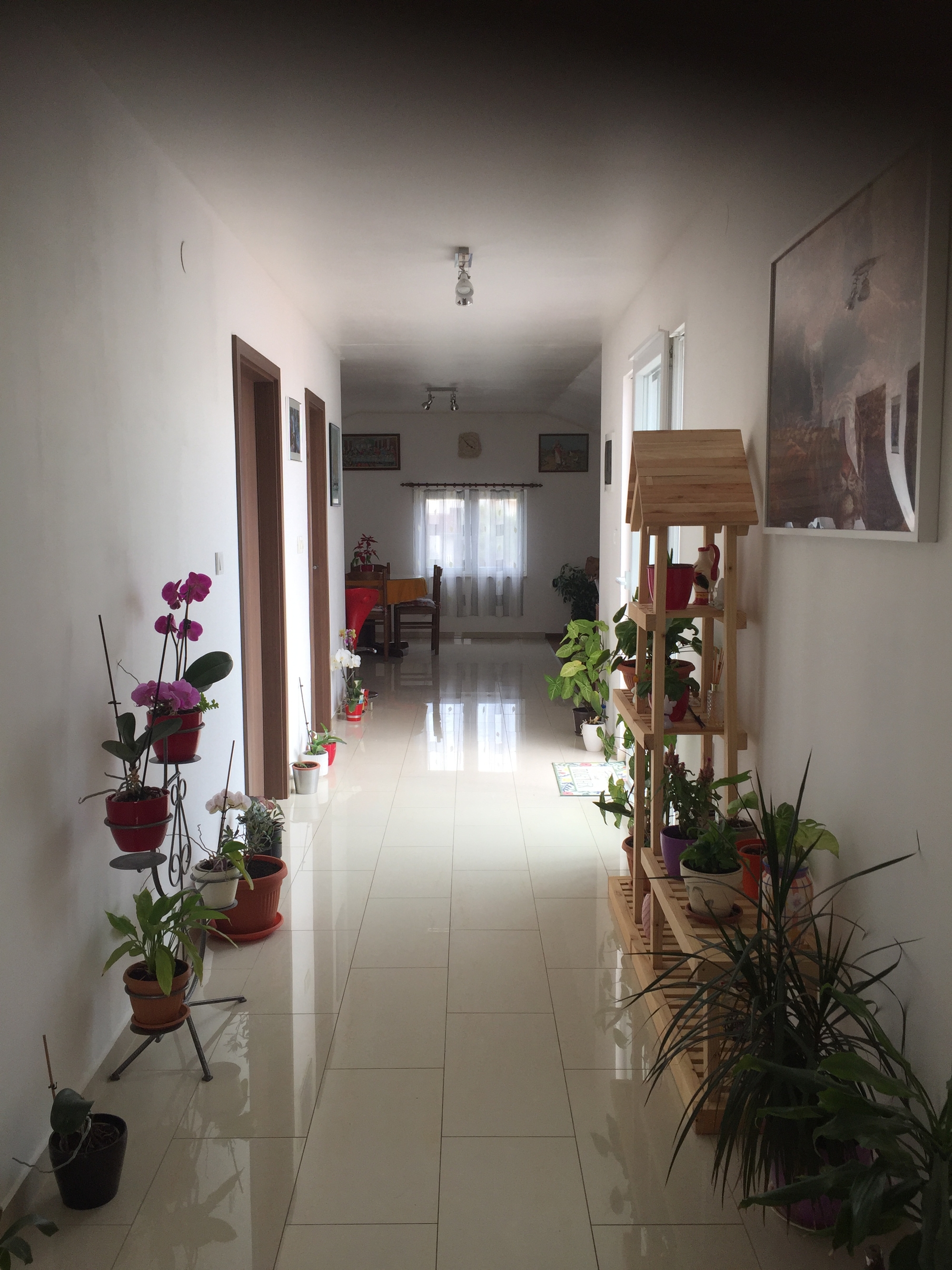 Dvosobni apartman s terasom i pogledom na more Lun, Pag  A-d