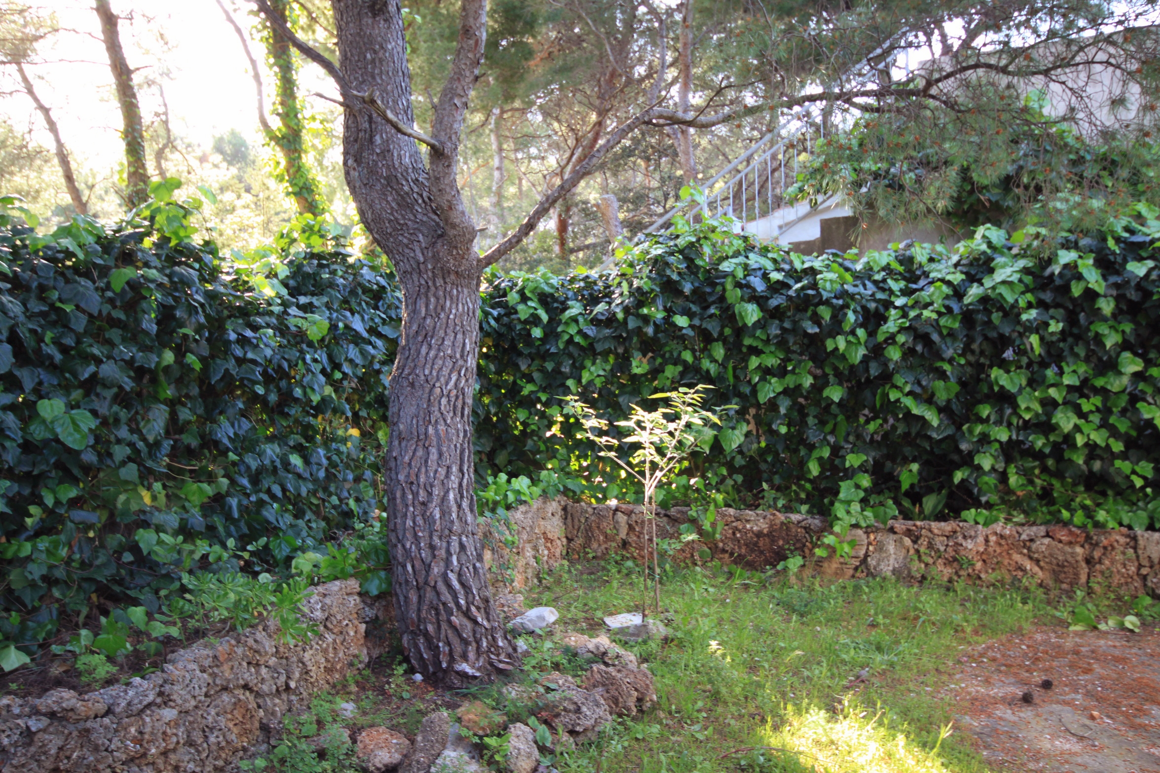 Two bedroom apartment near beach Mudri Dolac, Hvar  A-a