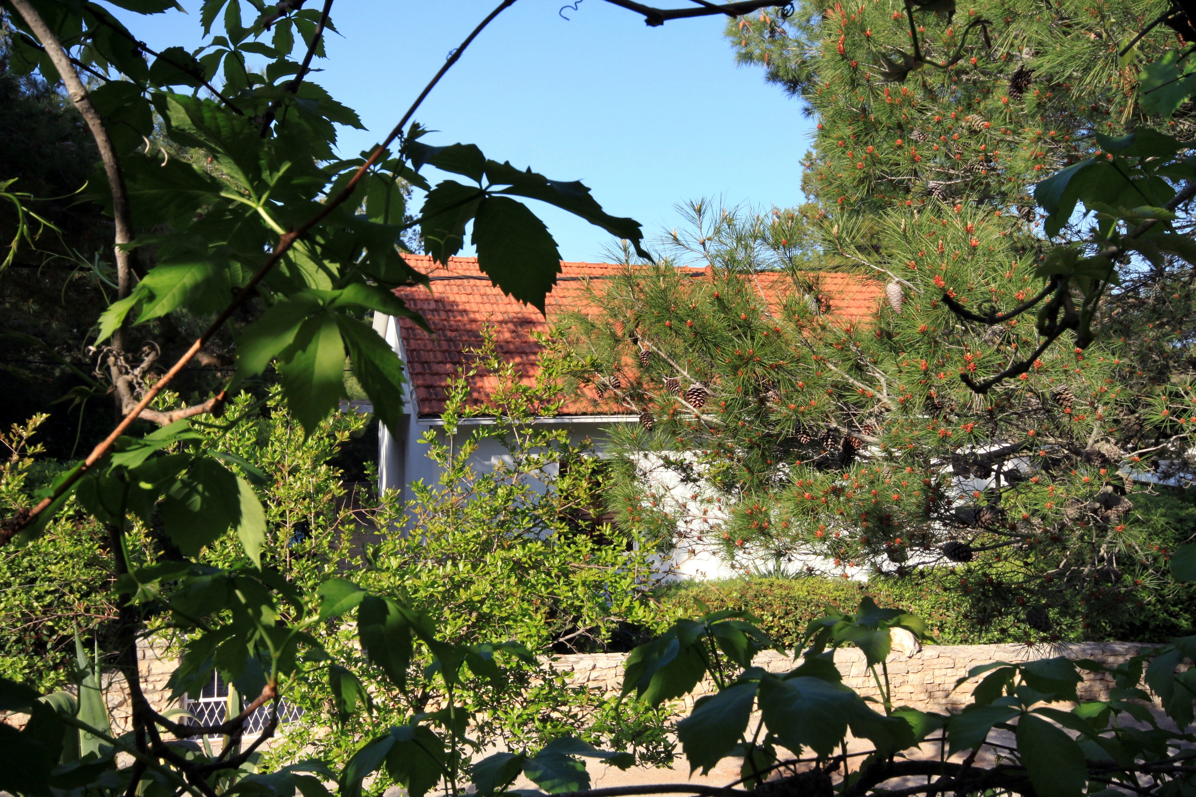One bedroom apartment near beach Mudri Dolac, Hvar  A-b