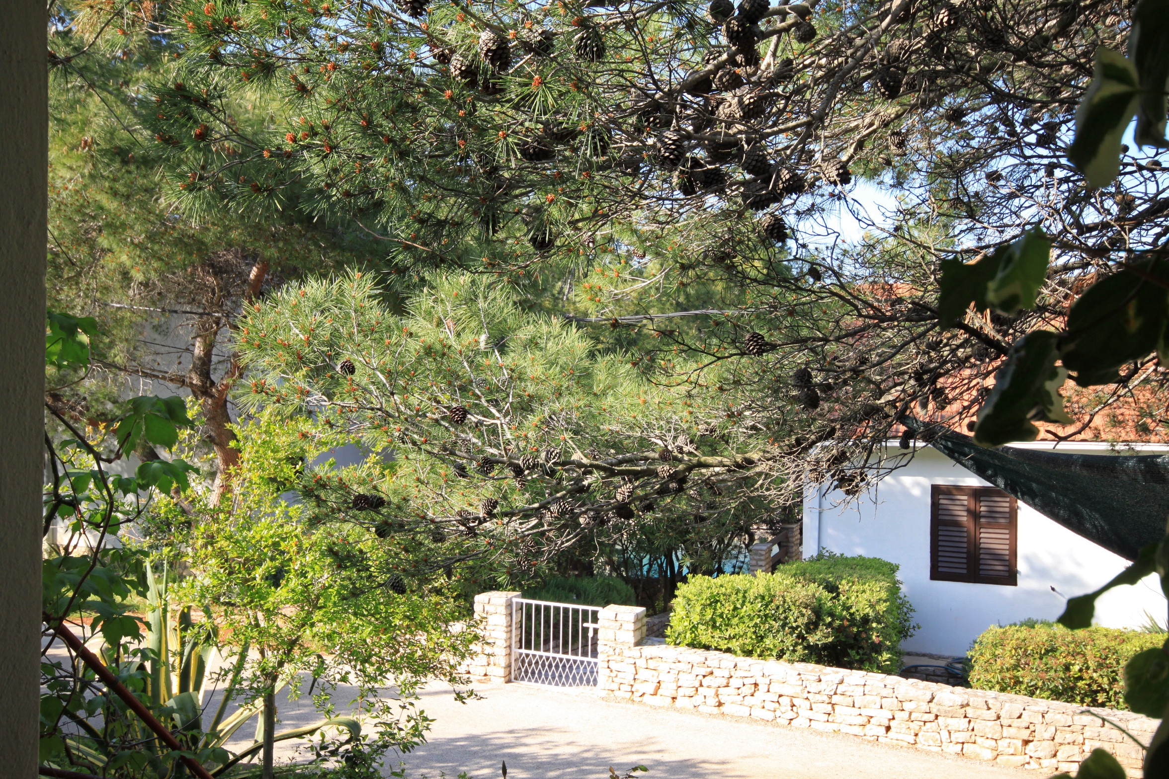 One bedroom apartment near beach Mudri Dolac, Hvar  A-c
