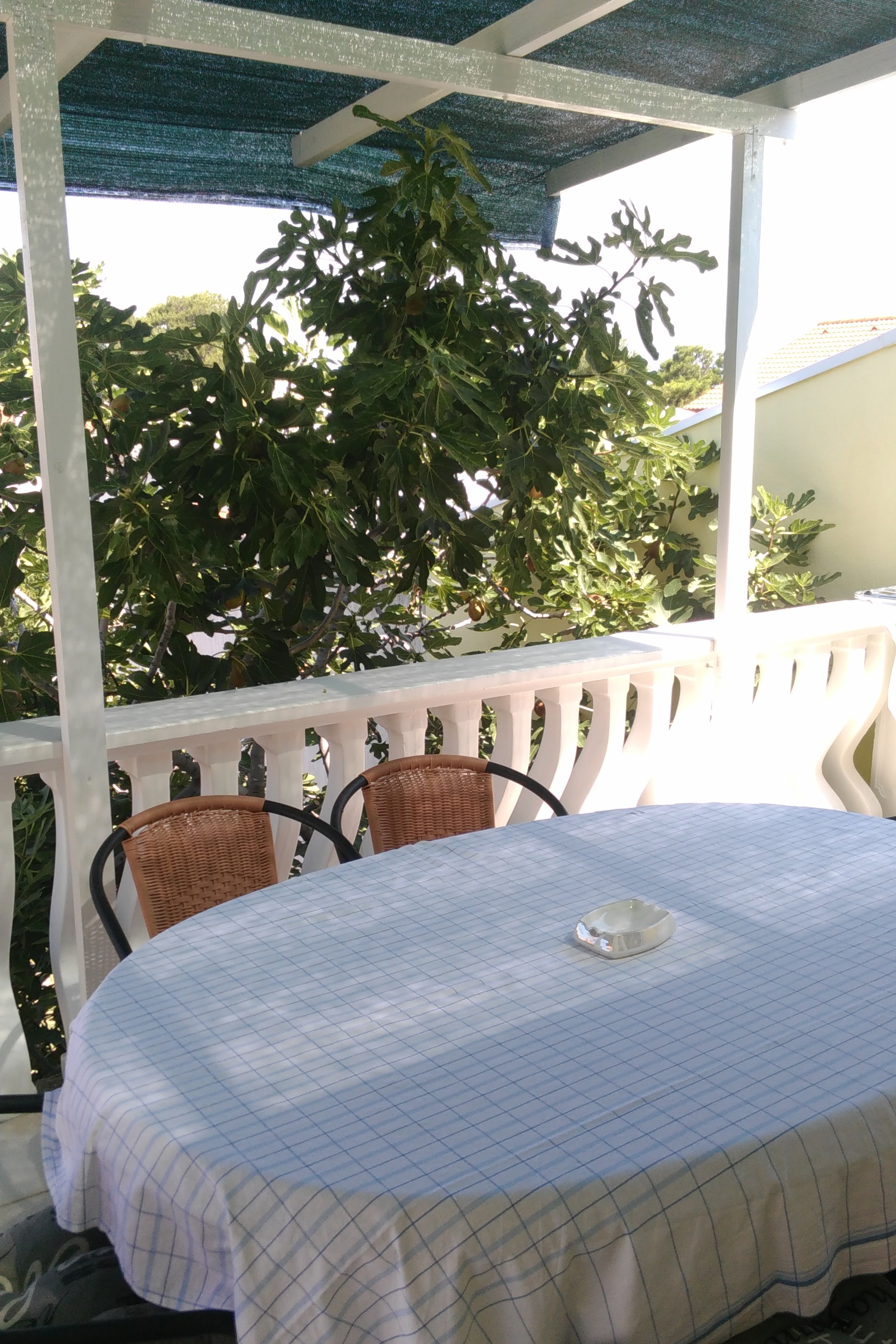 Three bedroom apartment with terrace Vir  A-a