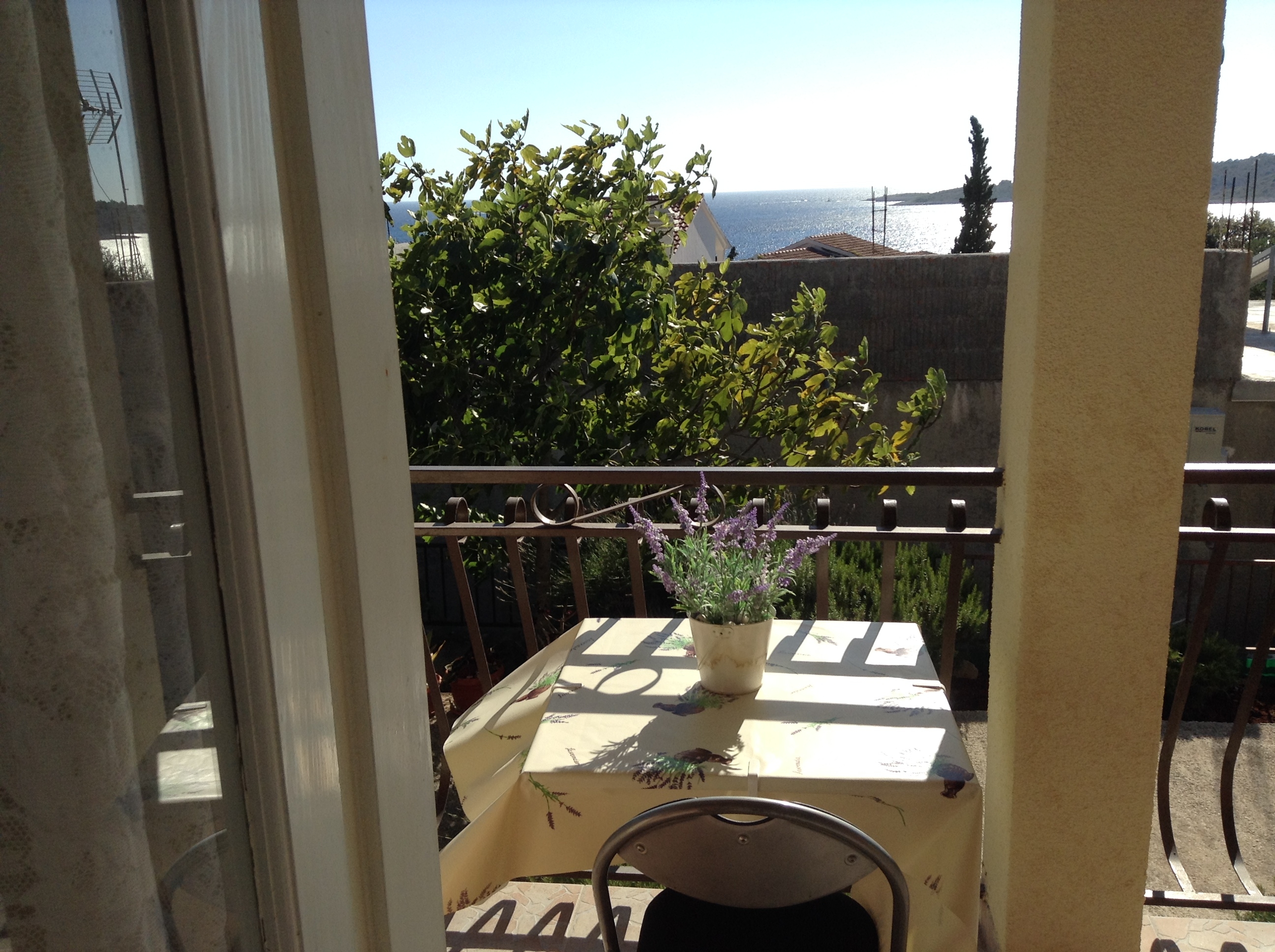 Top Rogoznica Kanica Top Rogoznica Kanica