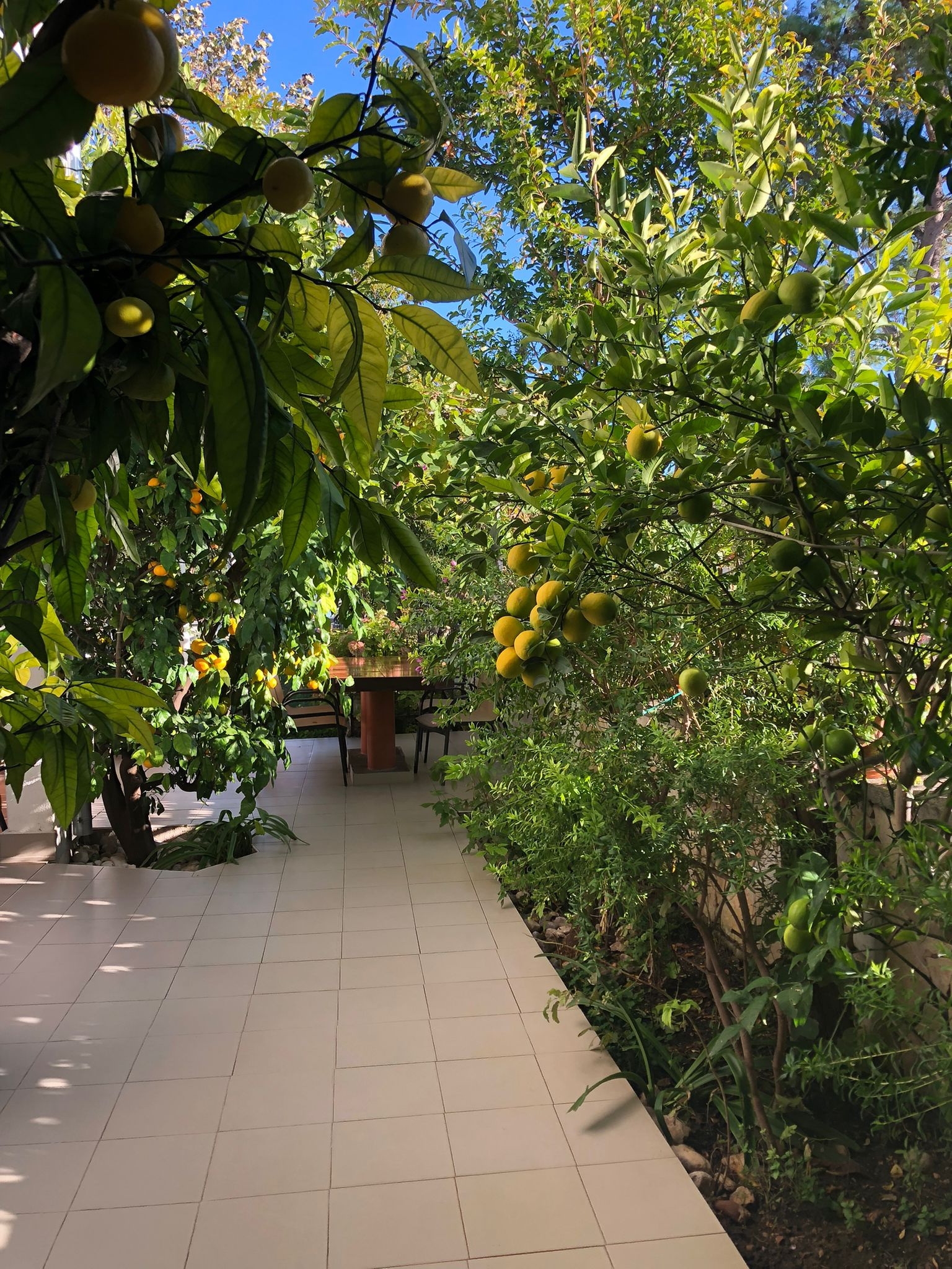 Two bedroom apartment with terrace Starigrad, Paklenica  A-a
