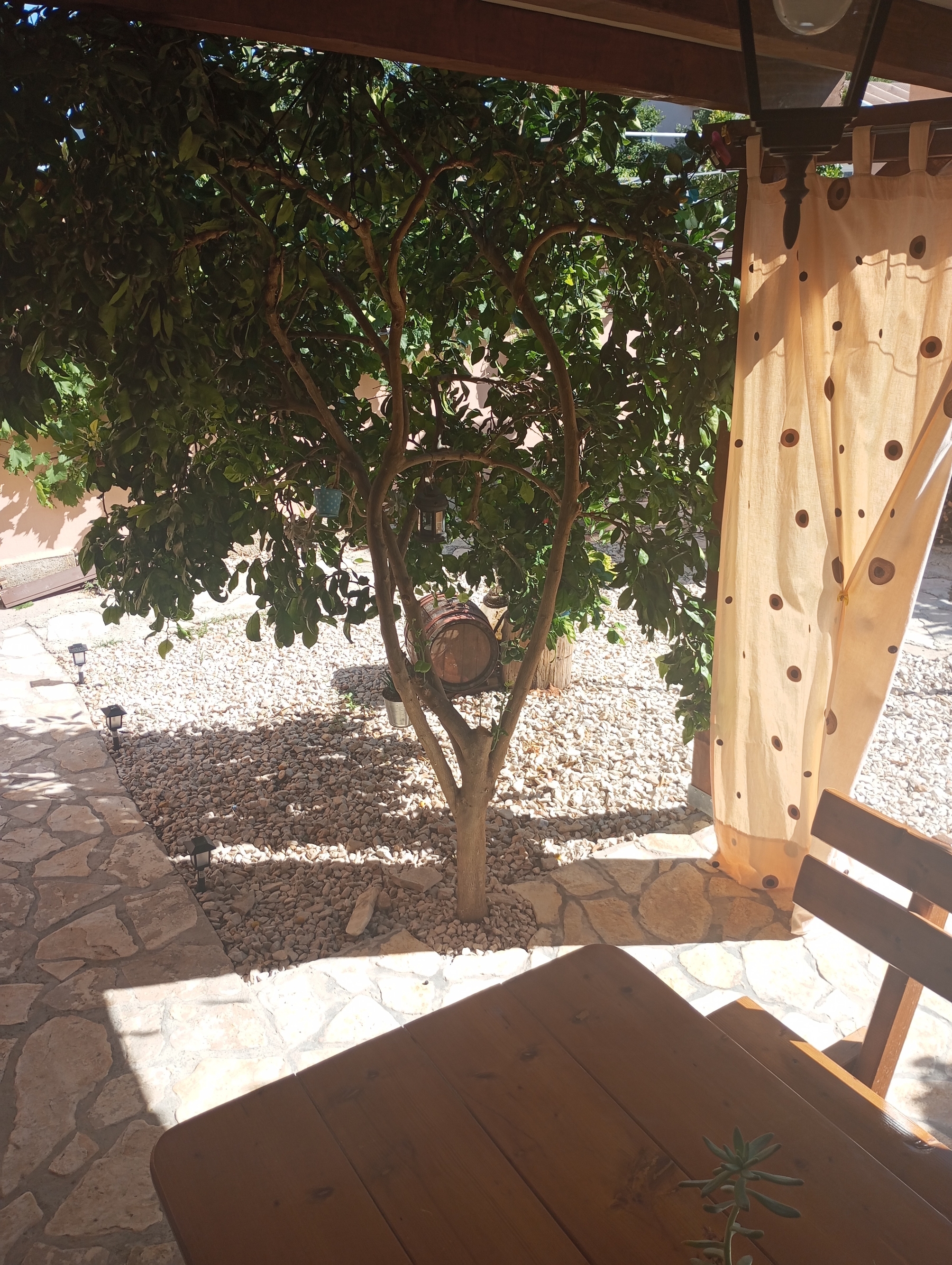 Top Pašman Neviđane Top Pašman Neviđane