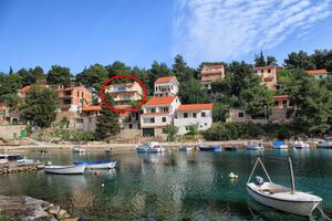 Appartements près de la mer Basina, Hvar - 11923