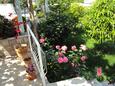 Zaton Mali, Dubrovnik, Courtyard 12120 - Apartments near sea with pebble beach.